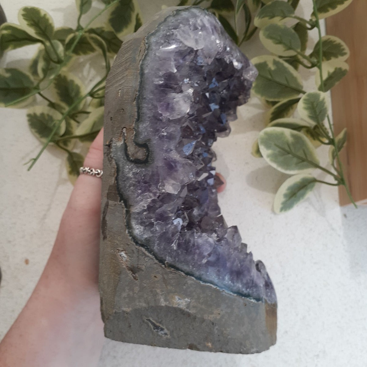 Amethyst - Cut Base Cluster - 60