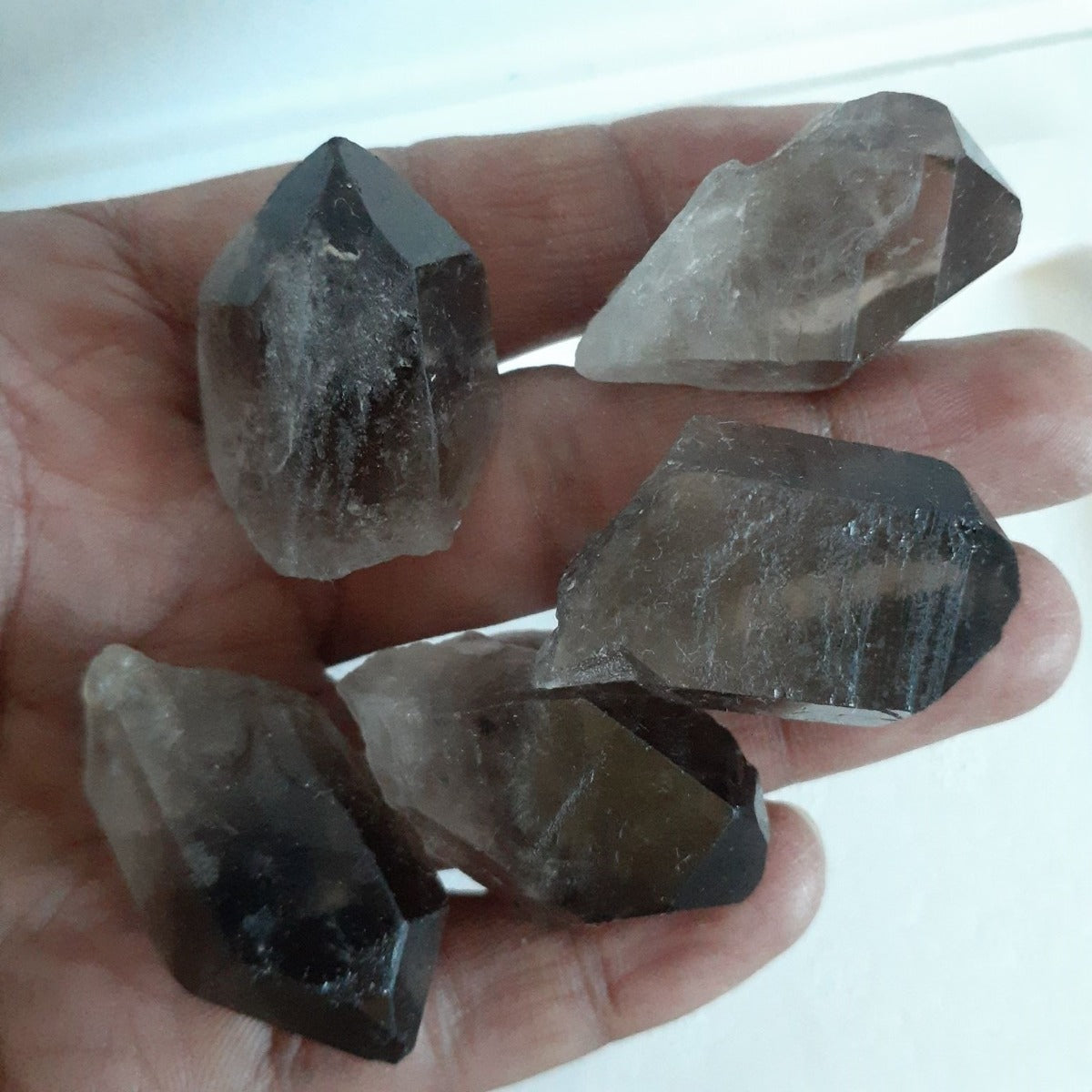 Dalmatian Jasper Generator - 9-10cm