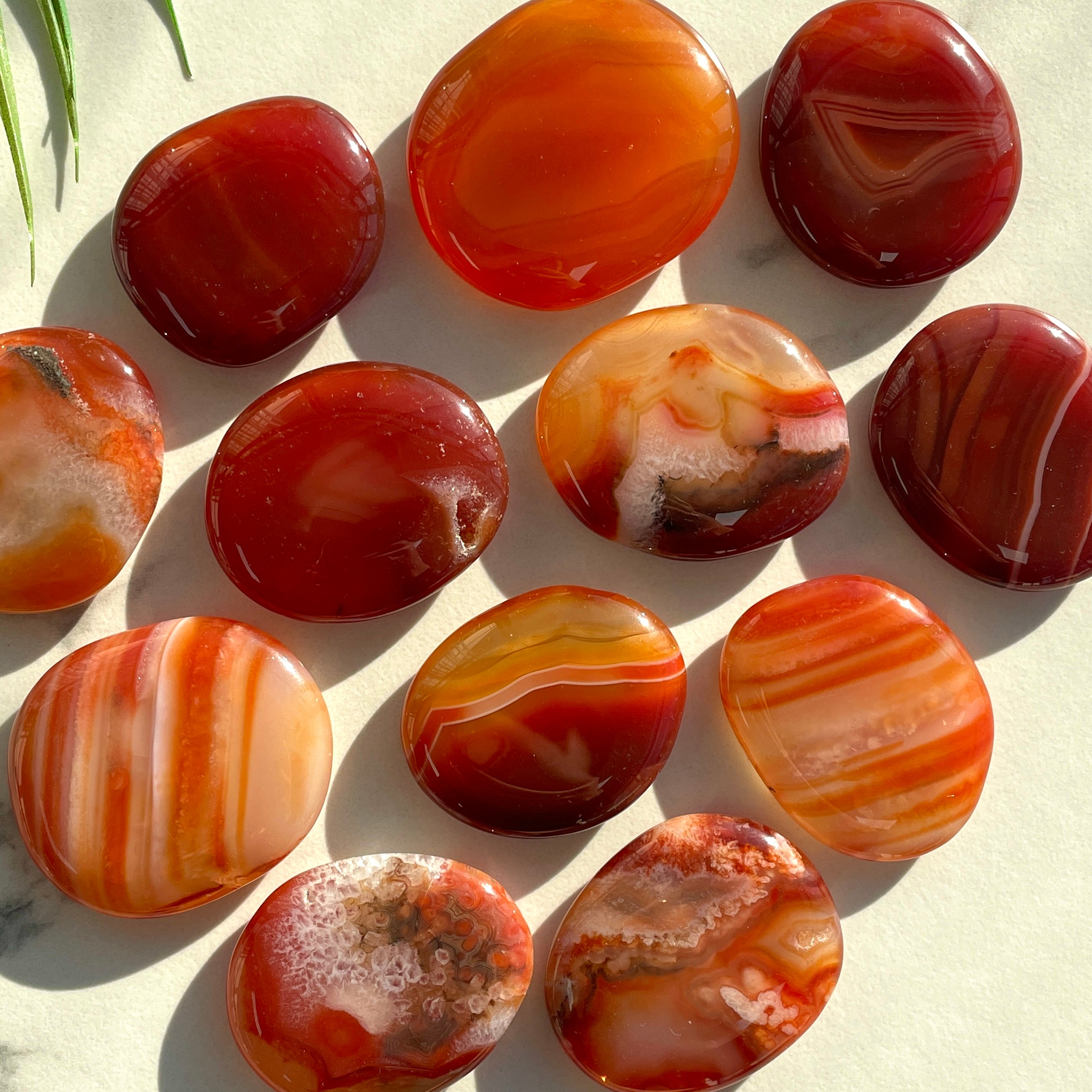 Pocket Palm Stone - Carnelian