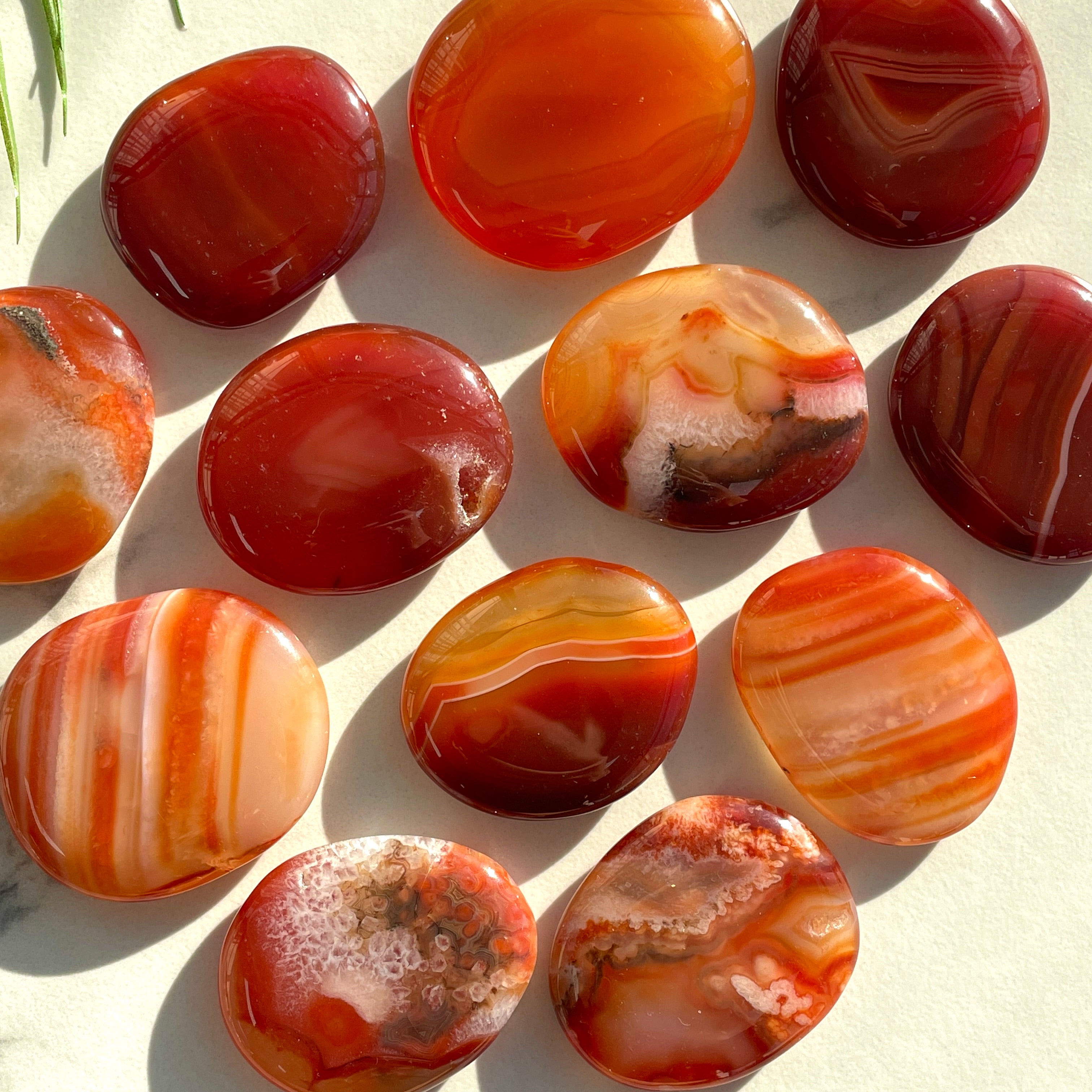 Pocket Palm Stone - Carnelian
