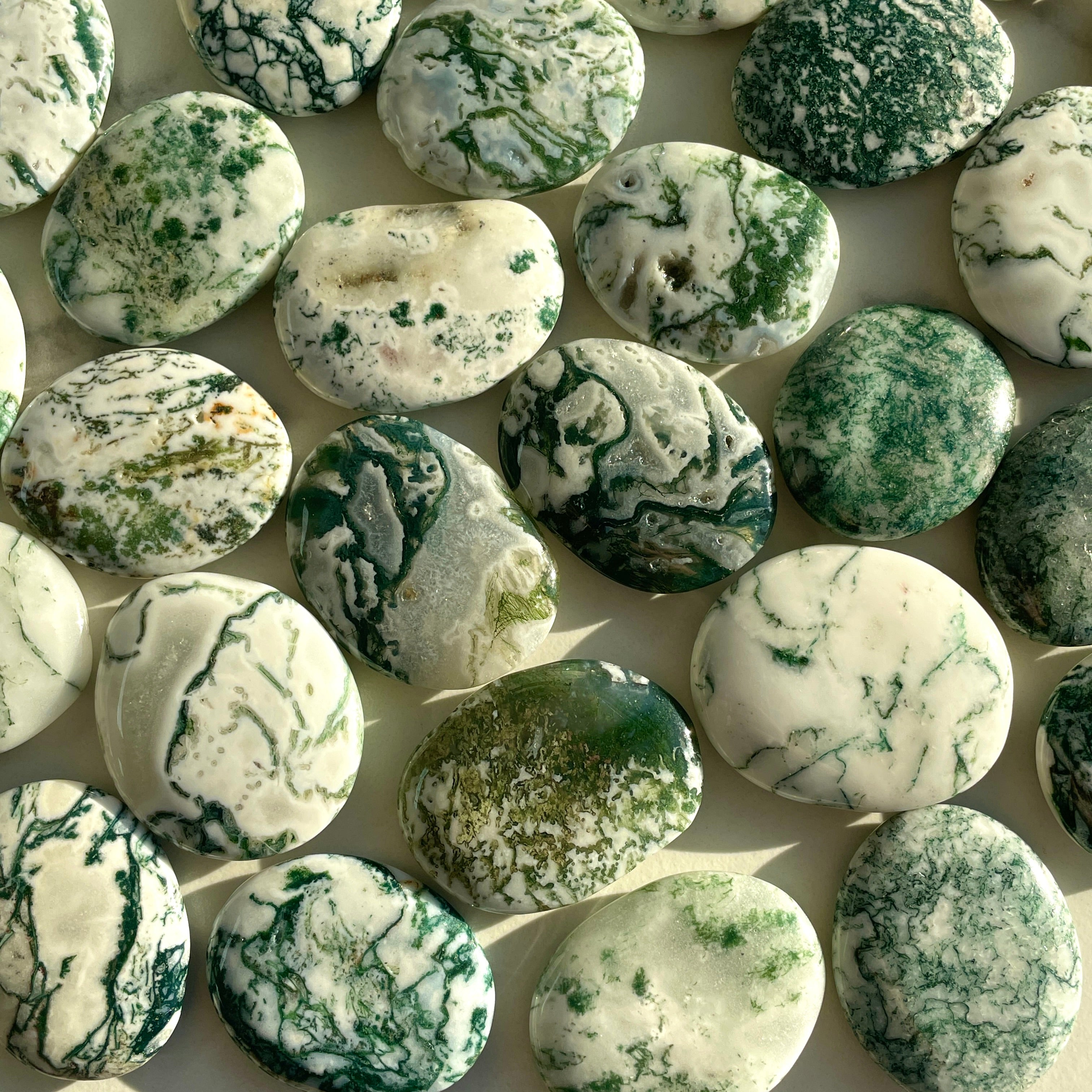 Pocket Palm Stone - Tree Agate