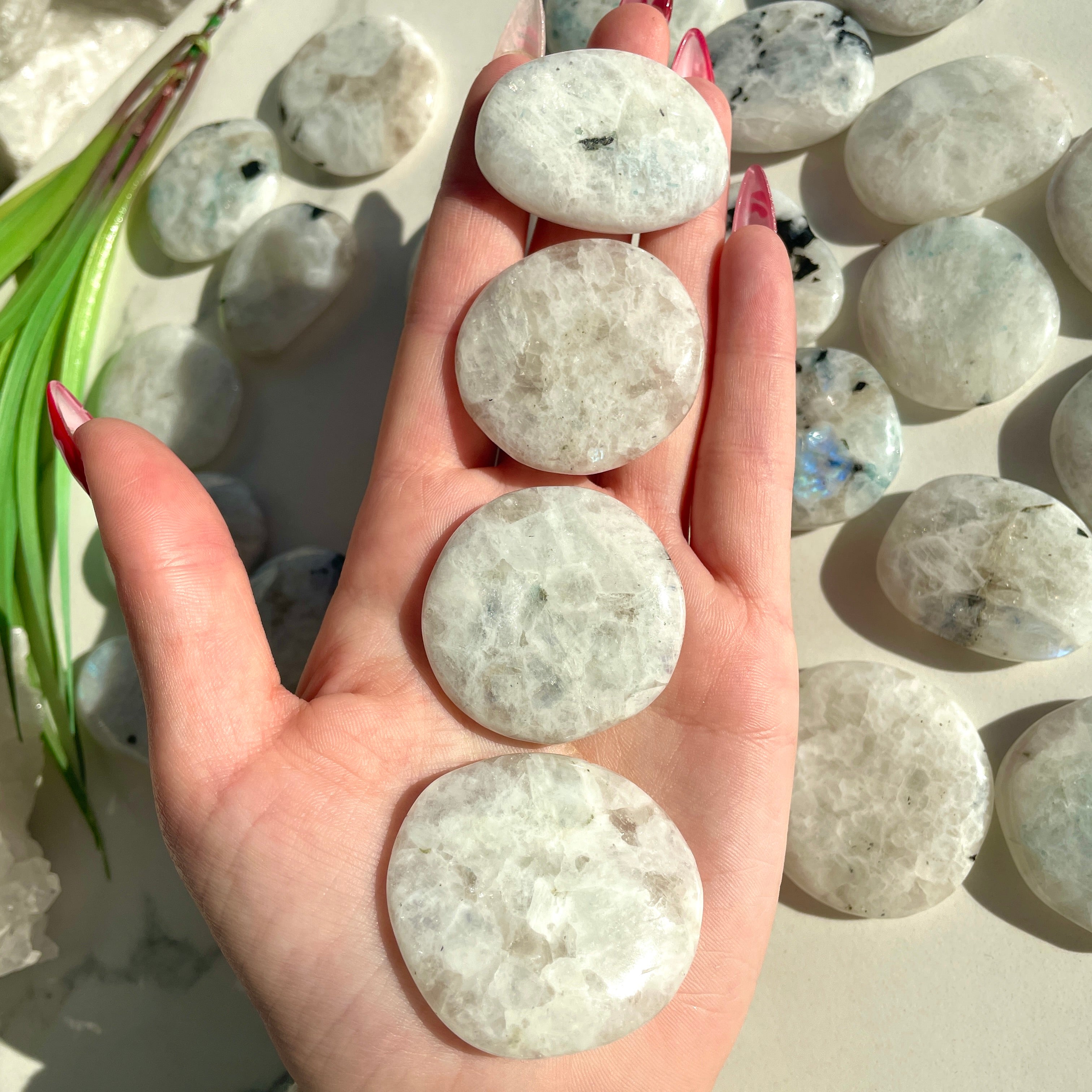 Pocket Palm Stone - Rainbow Moonstone