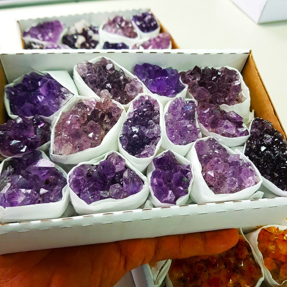 Amethyst Cluster Tray - A Grade (9pc-14pc)