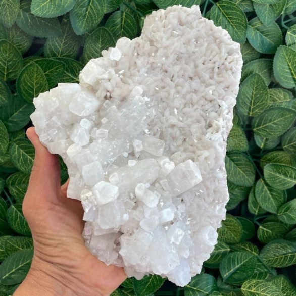 Apophyllite and Zeolite Cluster - C