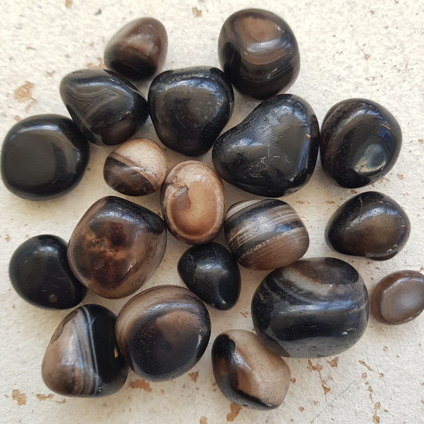 Coffee Agate - Tumbled - 250gms