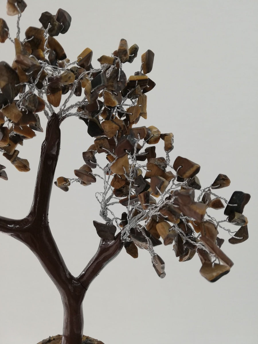 Tigers Eye Tree - Large 020