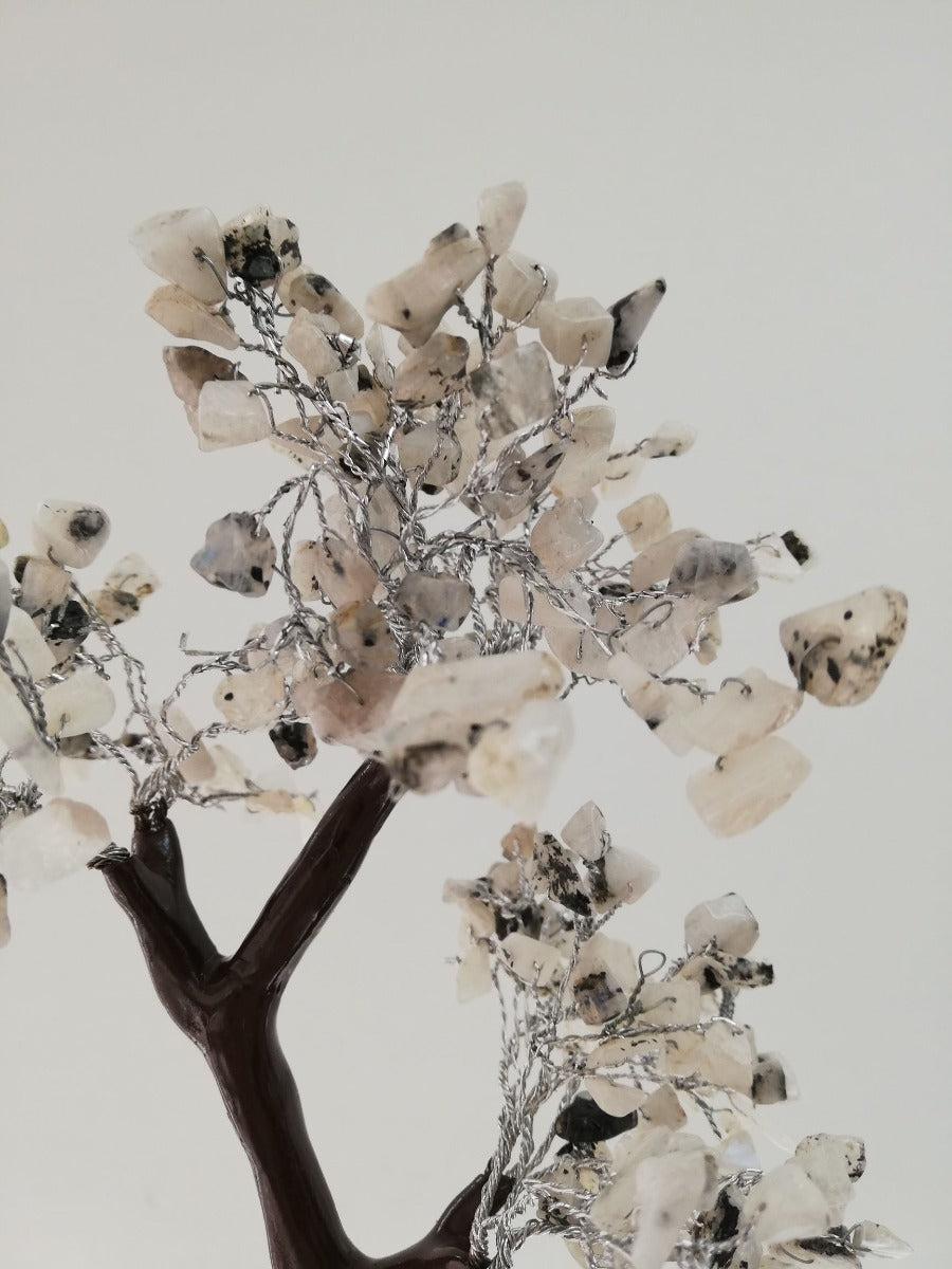 Rainbow Moonstone Tree - Large - 020