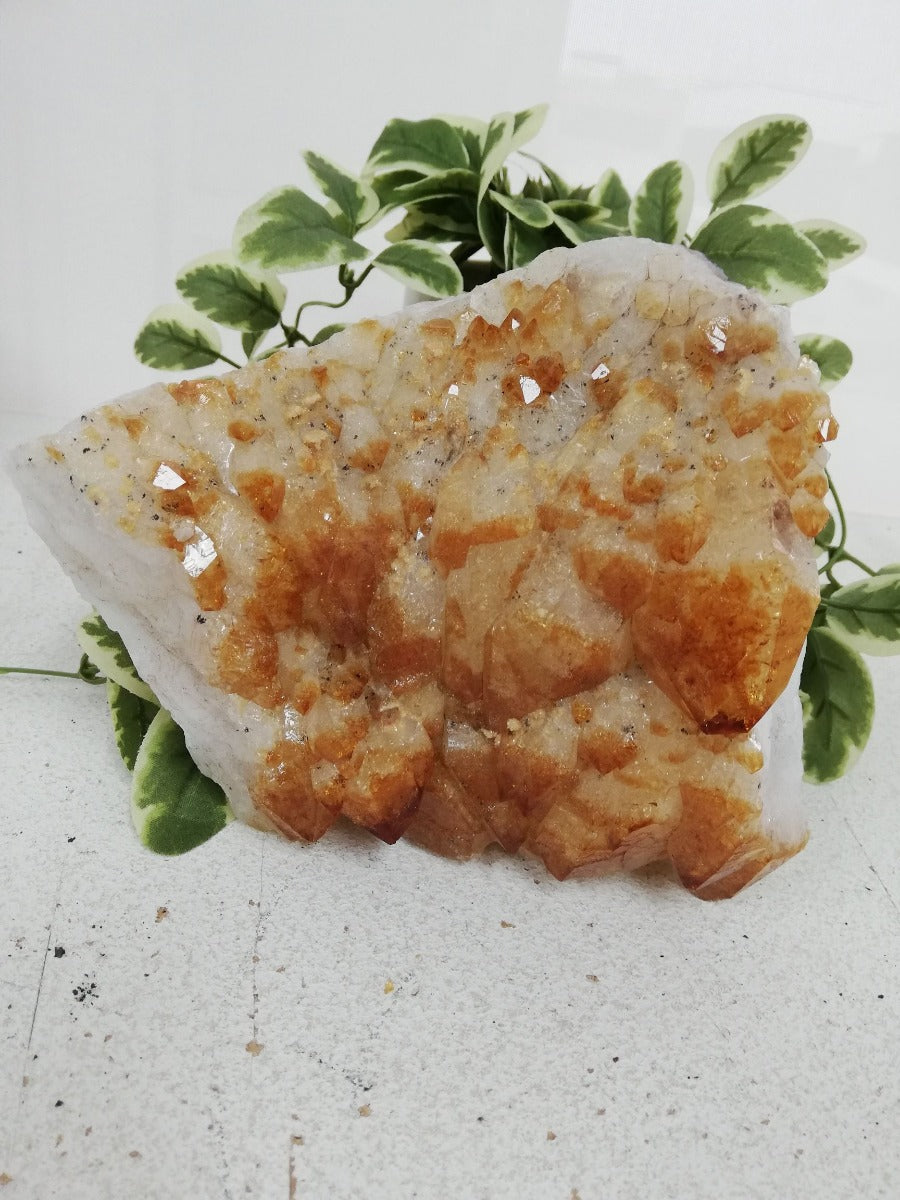 Citrine Cluster - 08