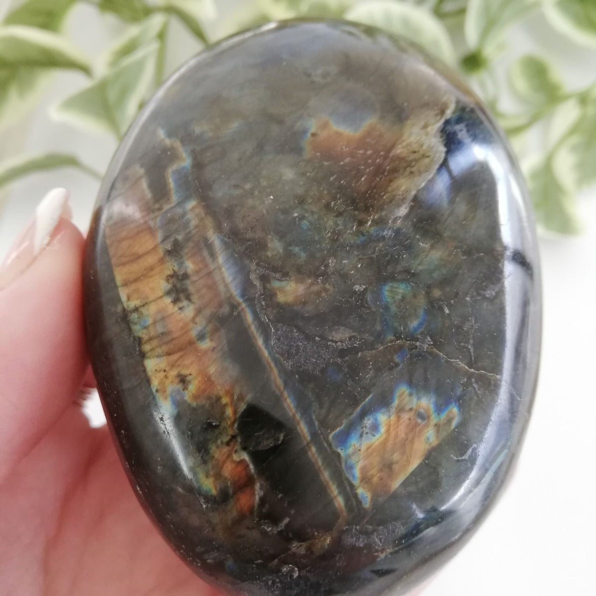 Labradorite Pebble - Large - 01