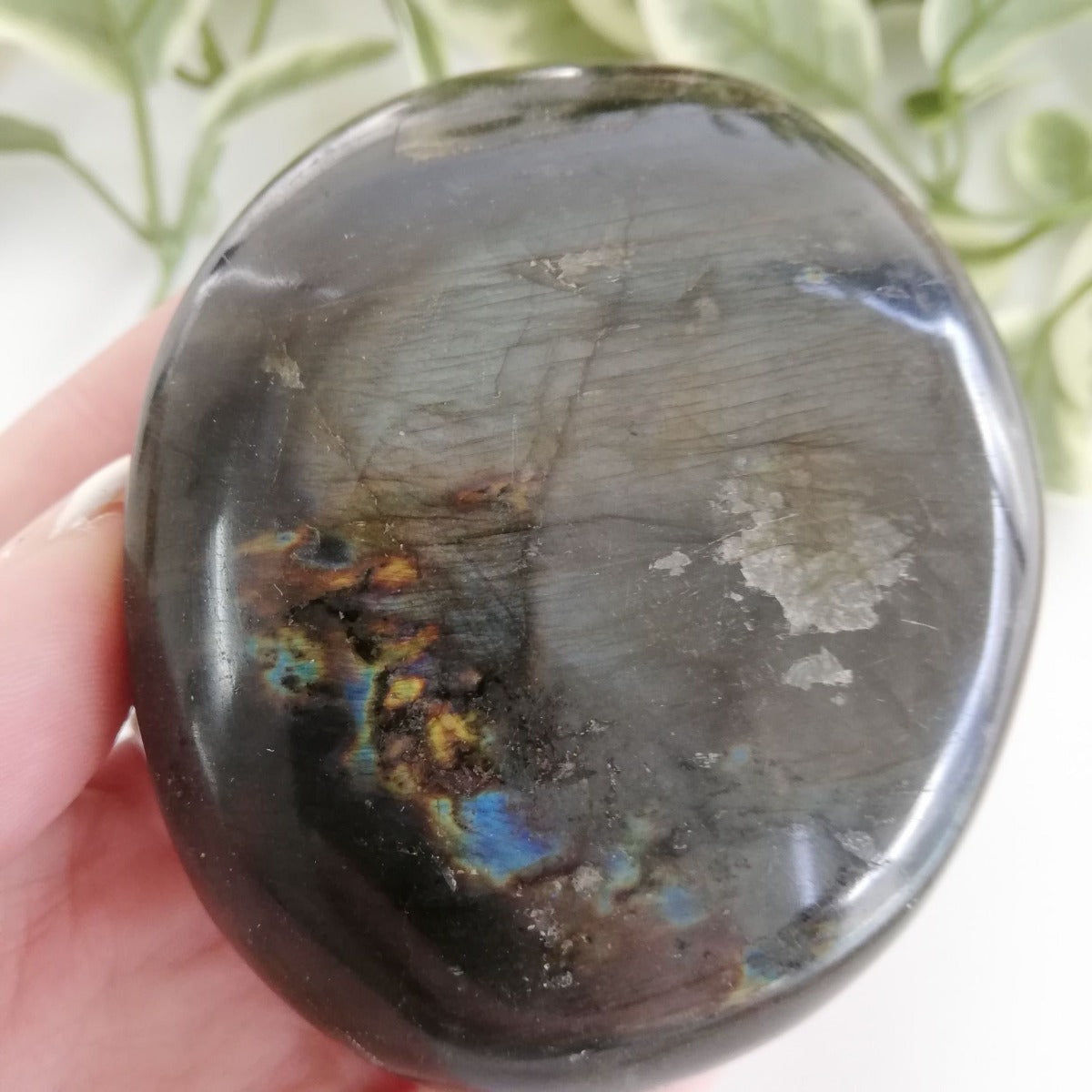 Labradorite Pebble - Large - 03