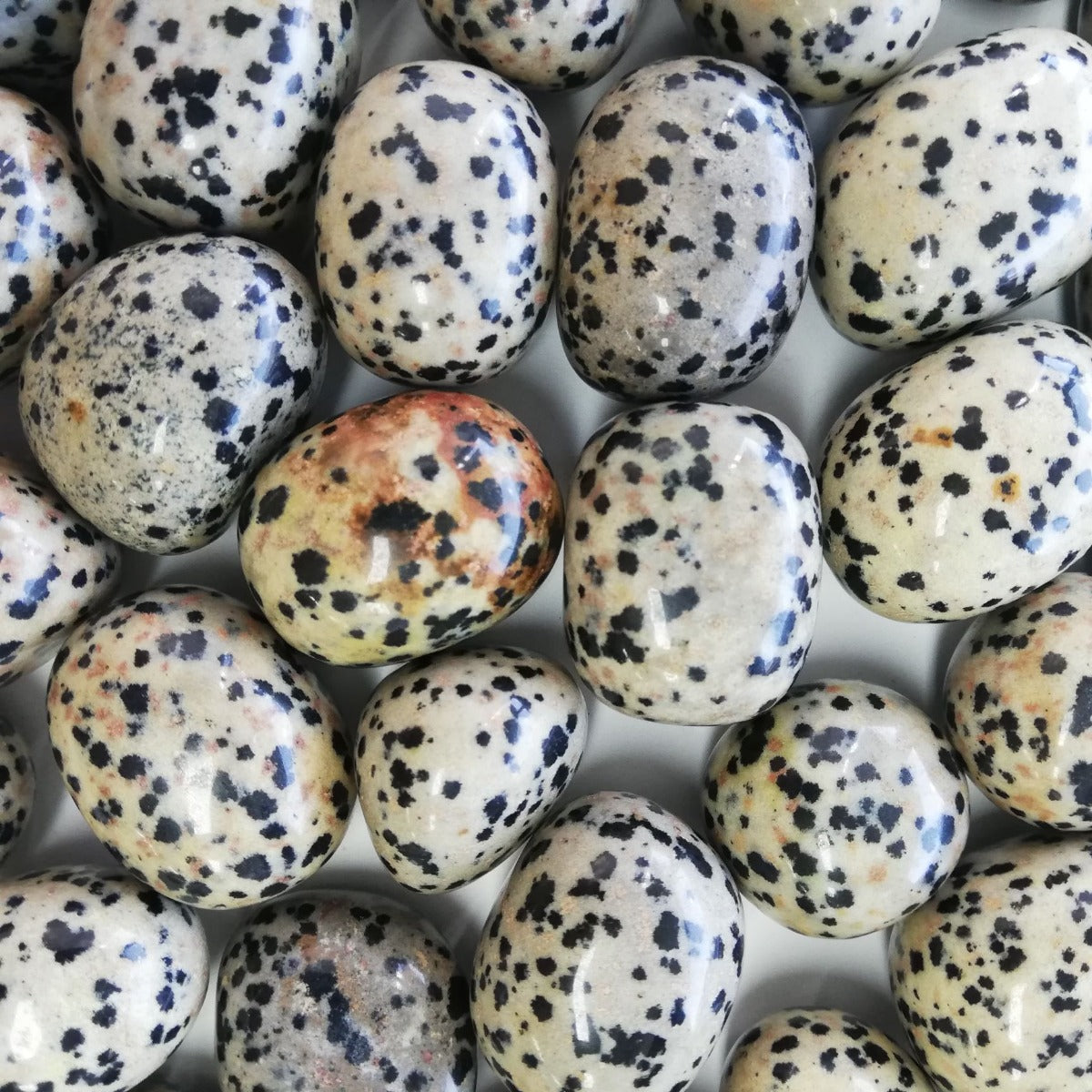 Dalmatian Jasper - Tumbled - 1 KG