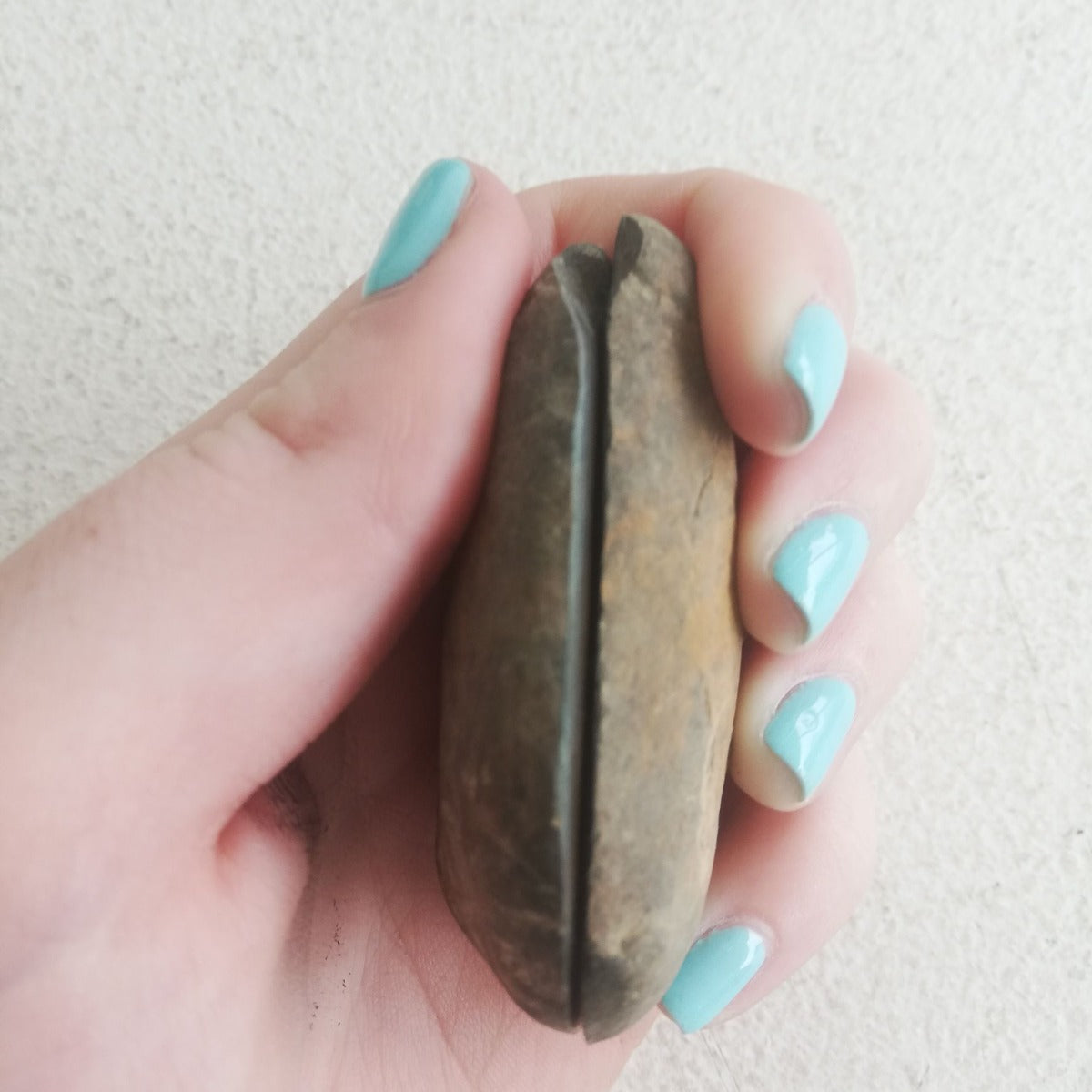 Septarian Geode Pair