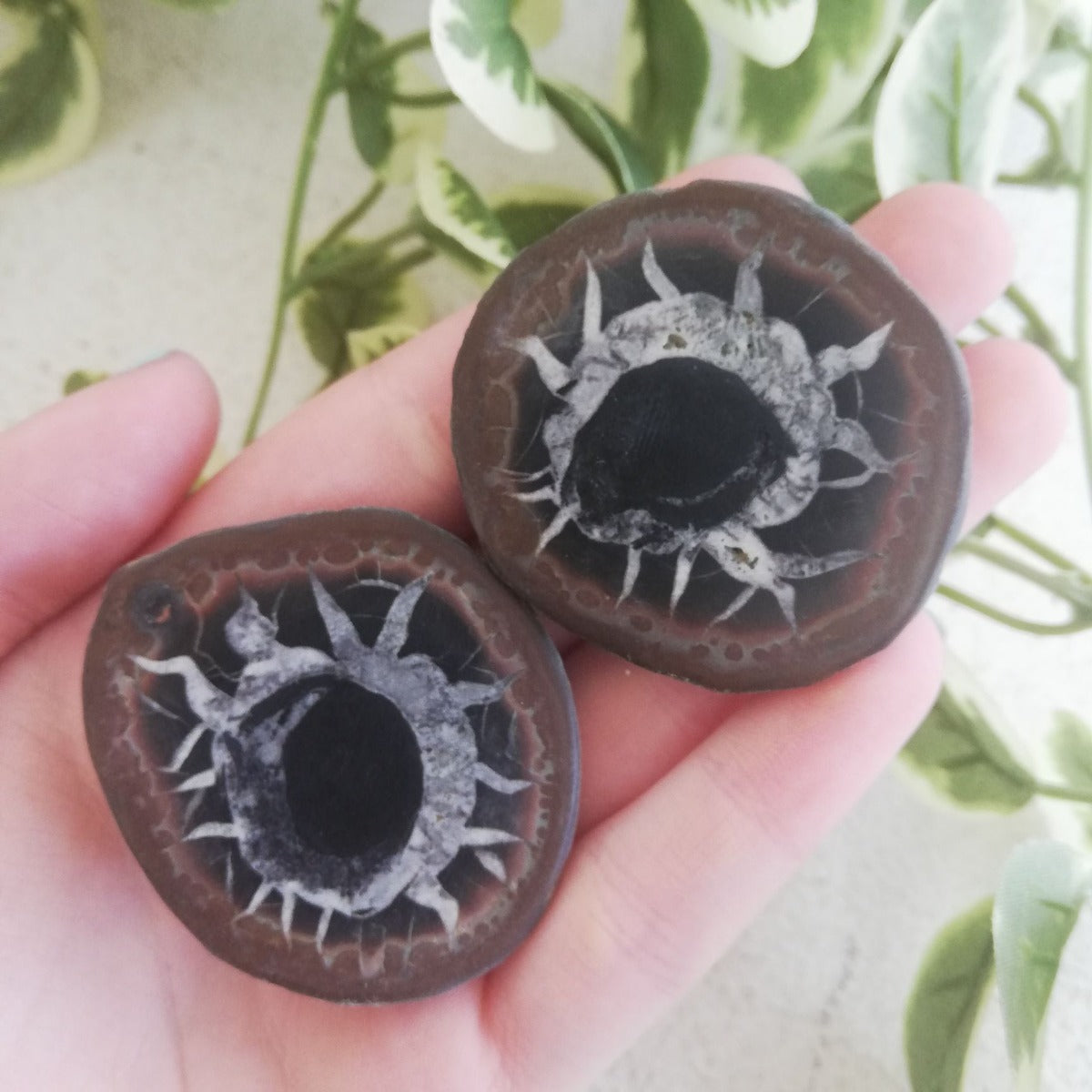 Septarian Geode Pair