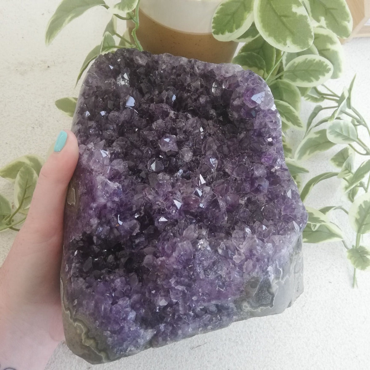 Amethyst - Cut Base Cluster - 65
