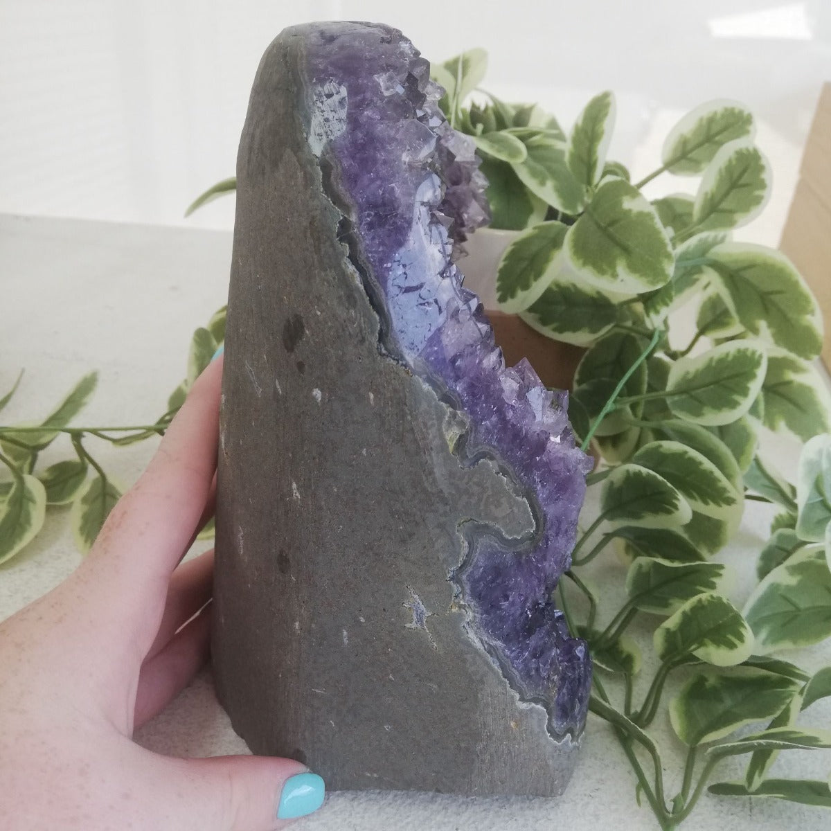 Amethyst - Cut Base Cluster - 65