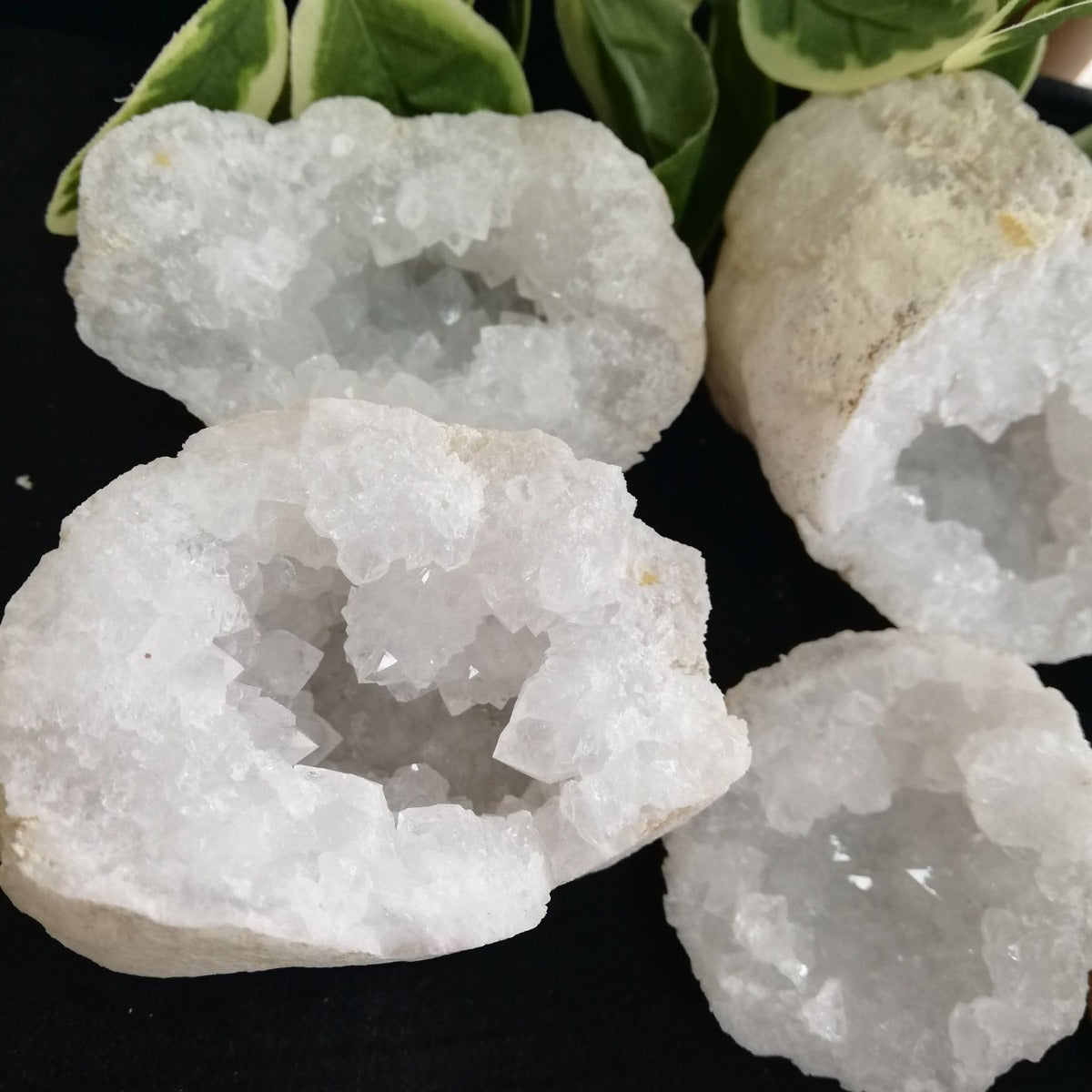 Quartz Geode - Large - Pair