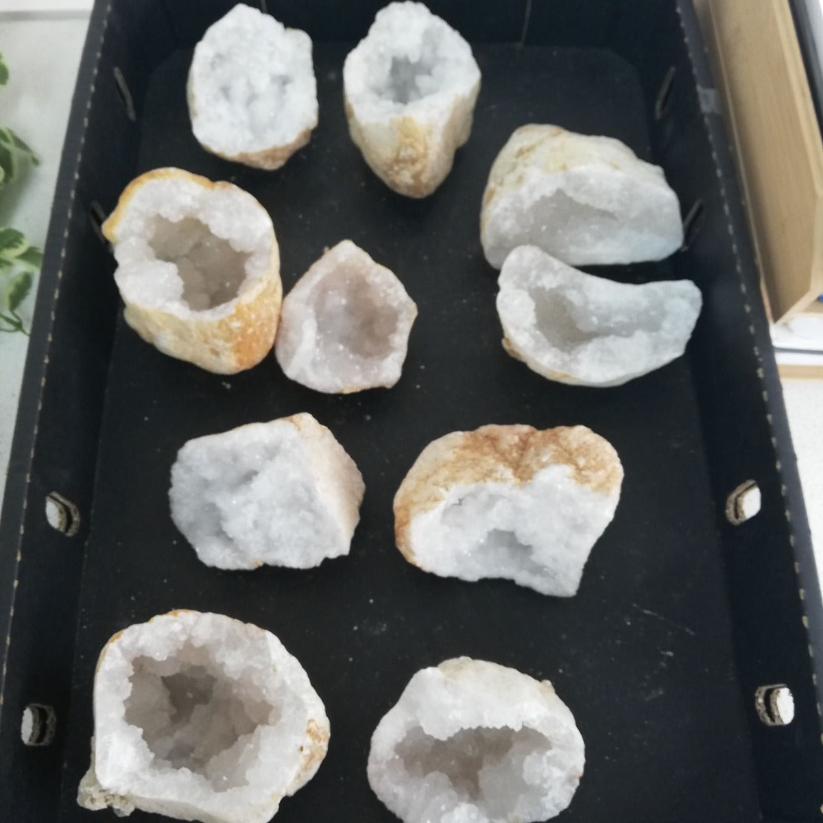 Quartz Geode - Large - Pair