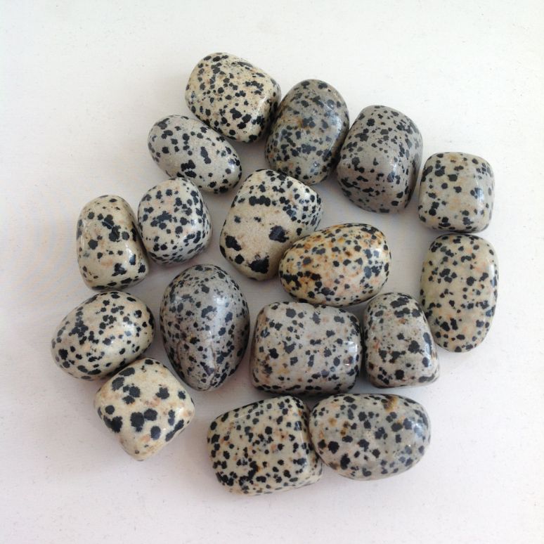 Dalmatian Jasper Tumbled 200gms (10-15pc)