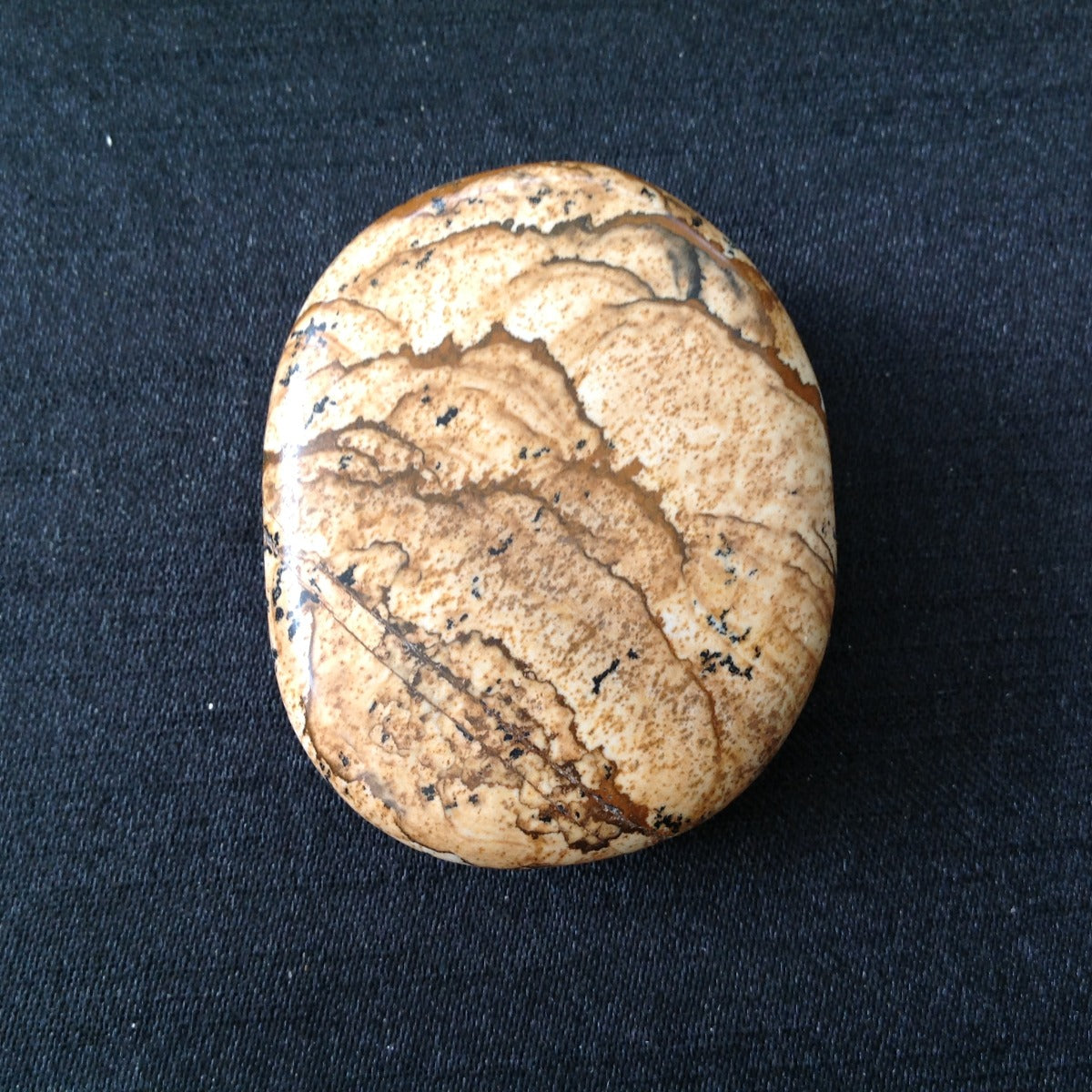 Pocket Palm Stone - Picture Jasper