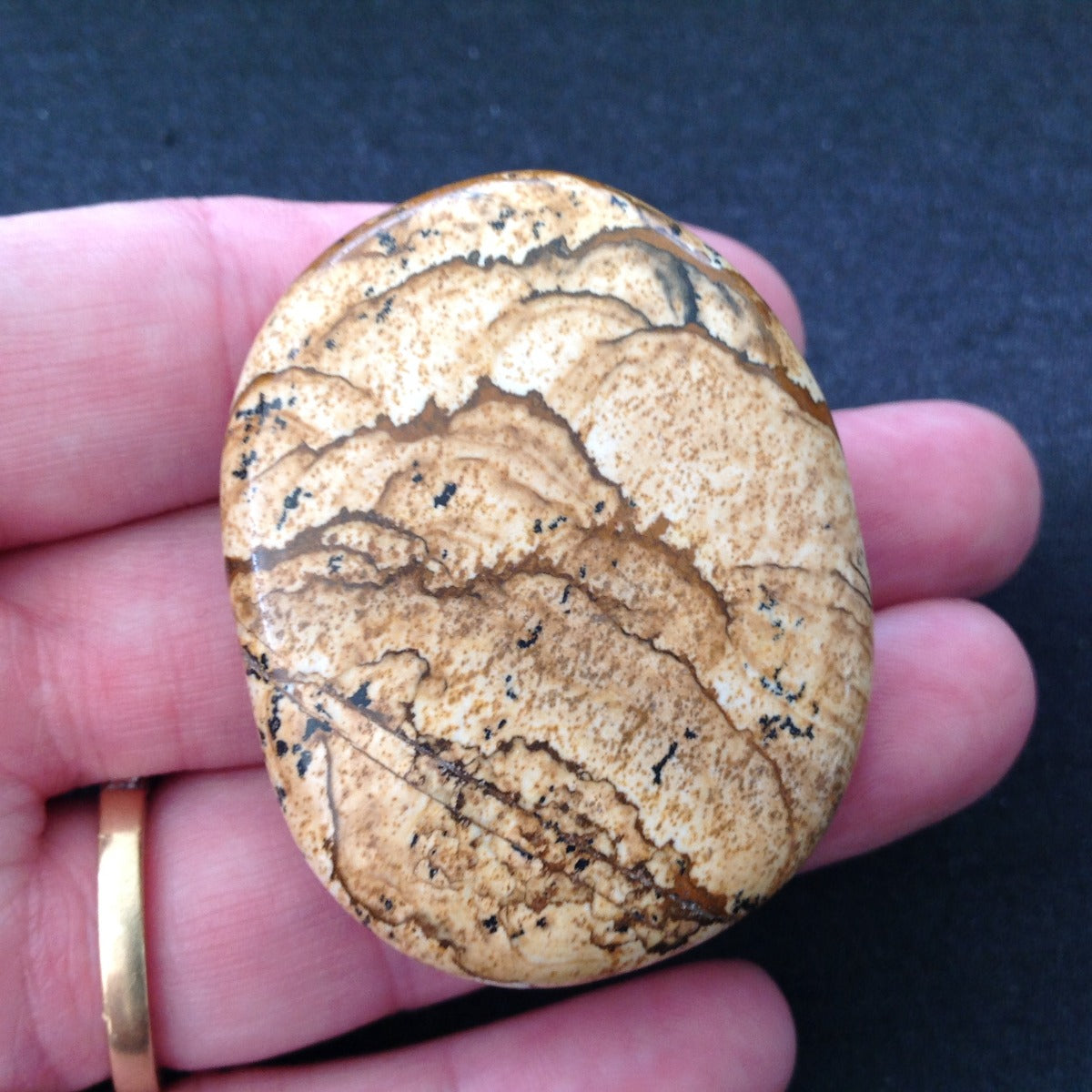 Pocket Palm Stone - Picture Jasper