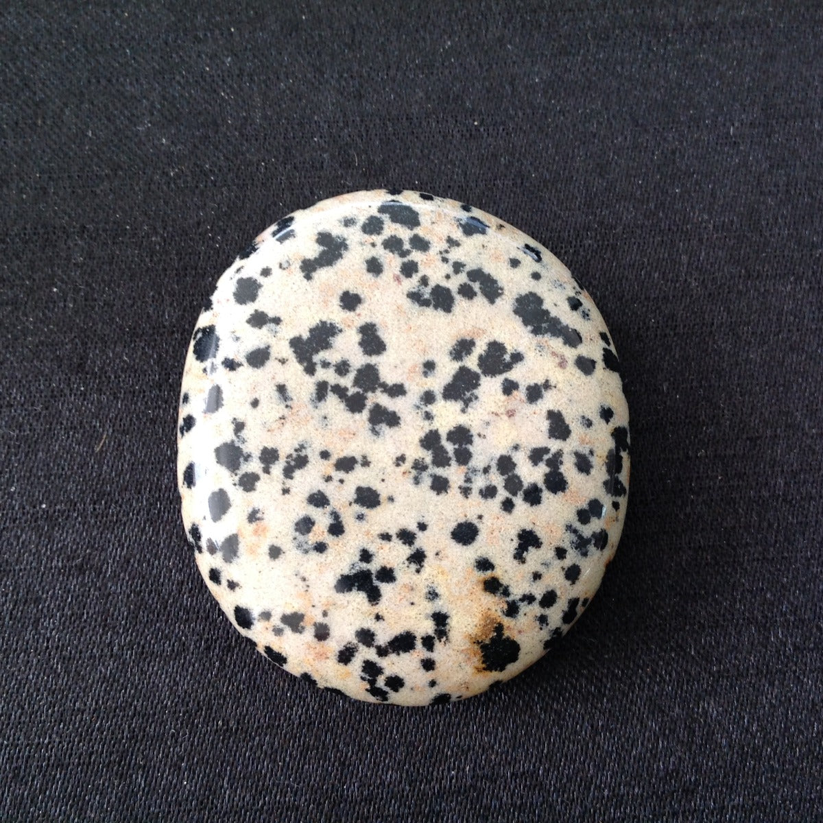 Pocket Palm Stone - Dalmatian Jasper