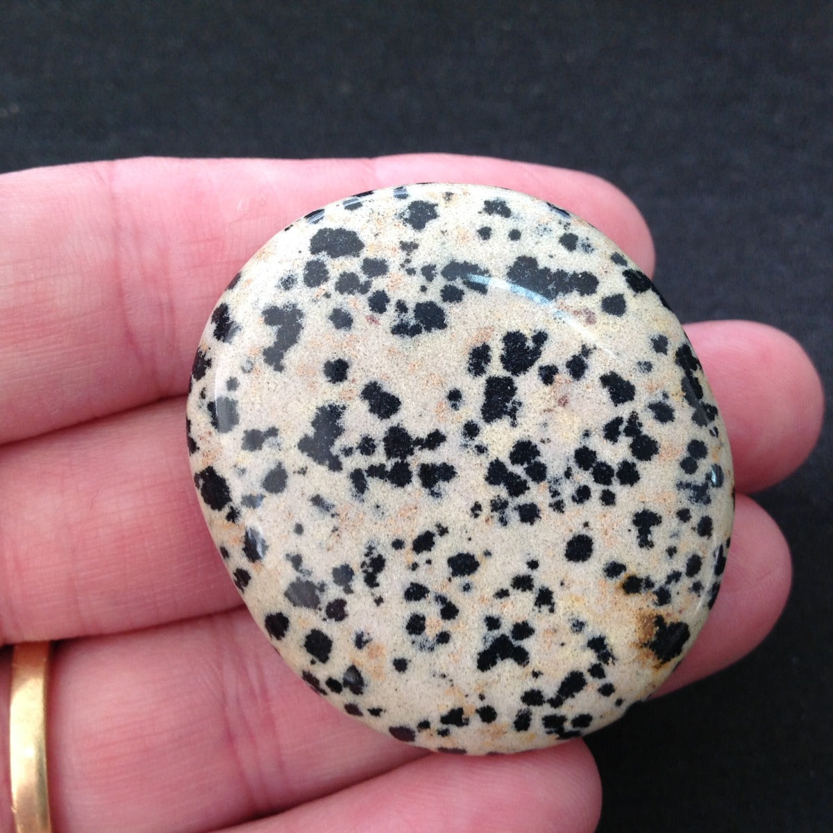Pocket Palm Stone - Dalmatian Jasper