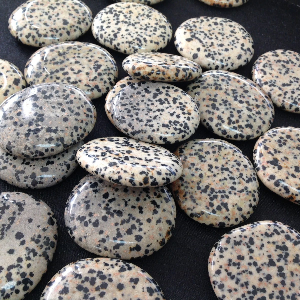 Pocket Palm Stone - Dalmatian Jasper
