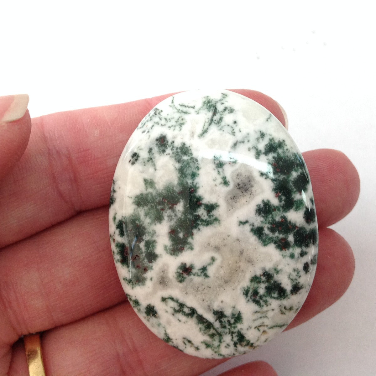 Pocket Palm Stone - Tree Agate