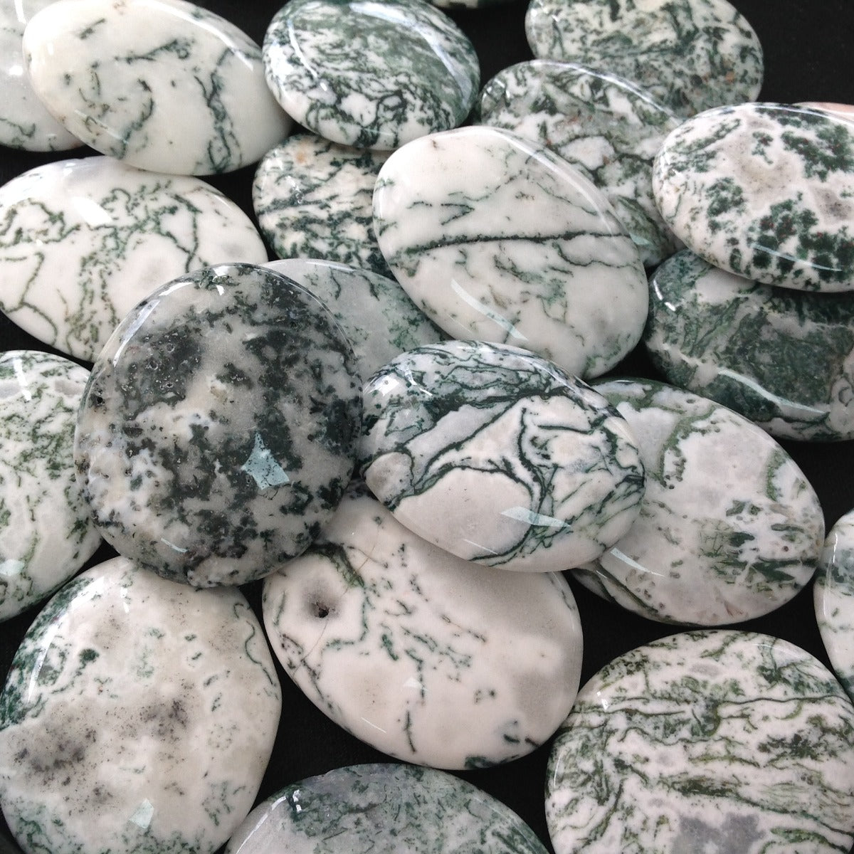 Pocket Palm Stone - Tree Agate