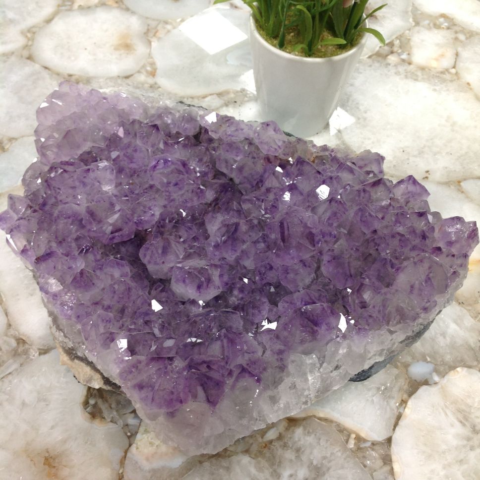 Amethyst Cluster - Large - C