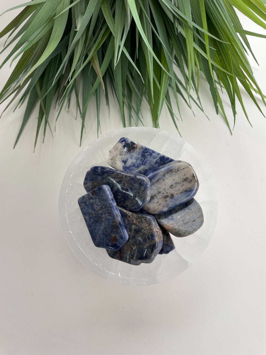 Polished Slabs - Sodalite - 500g(15-25)pc
