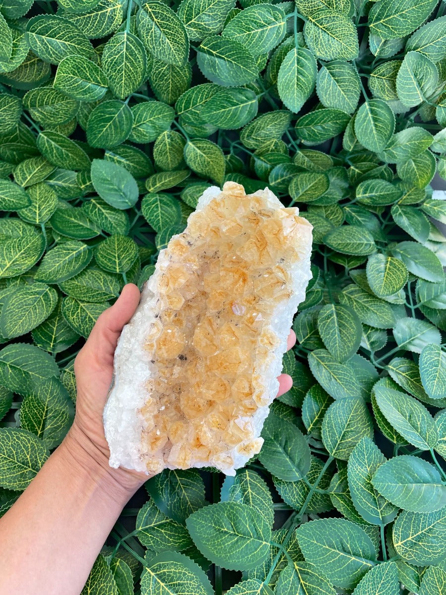 Citrine Cluster - 17