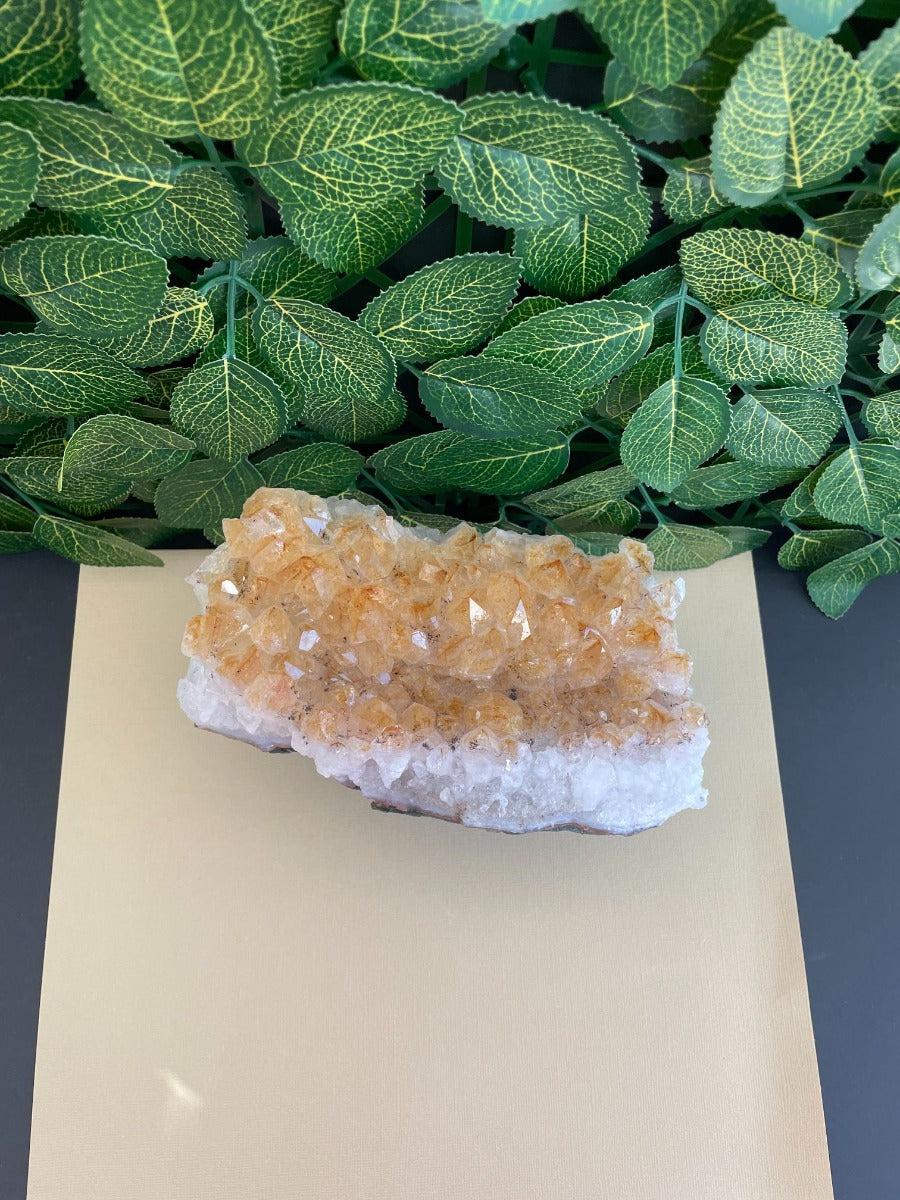 Citrine Cluster - 17