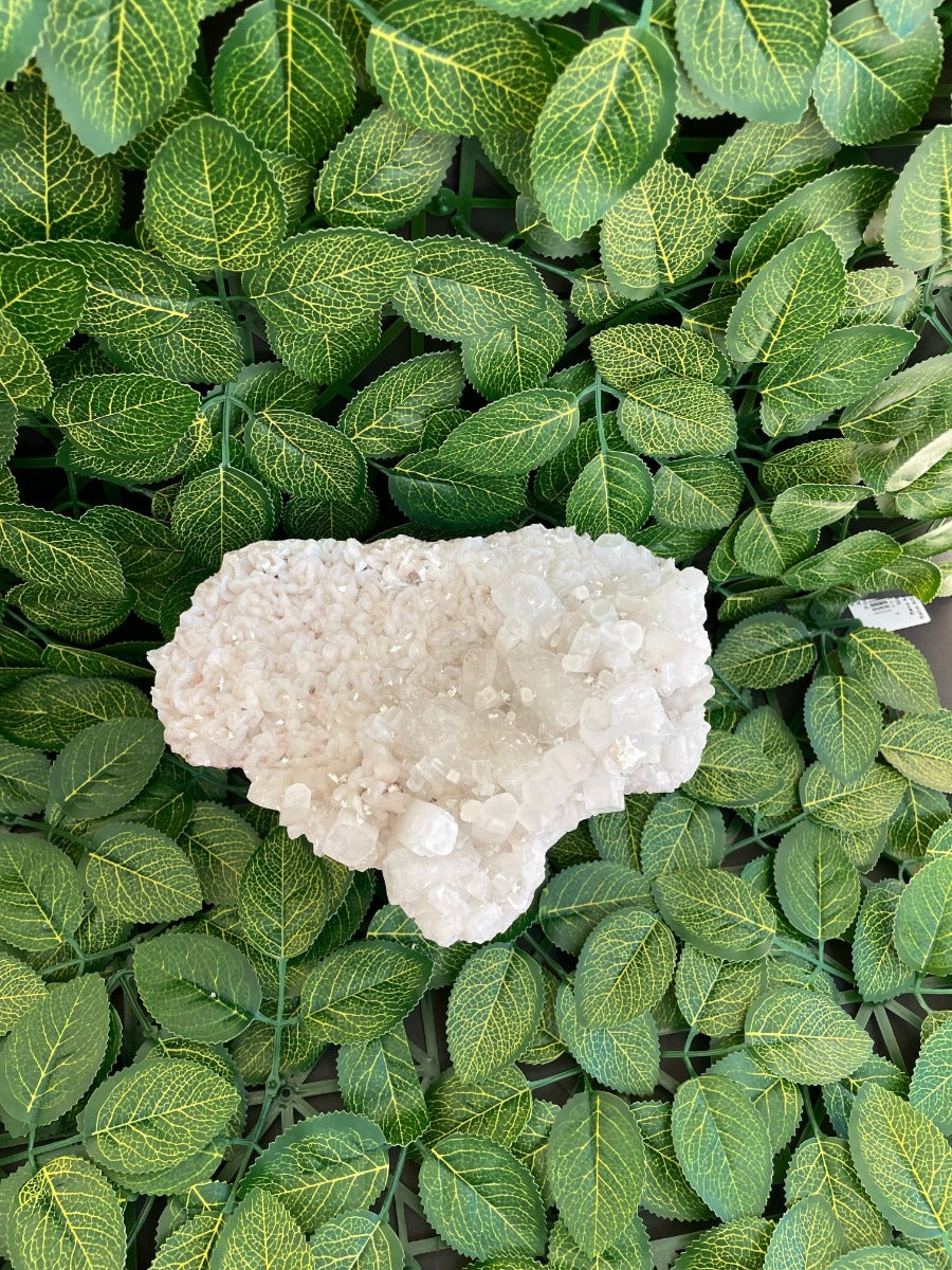 Apophyllite and Zeolite Cluster - C