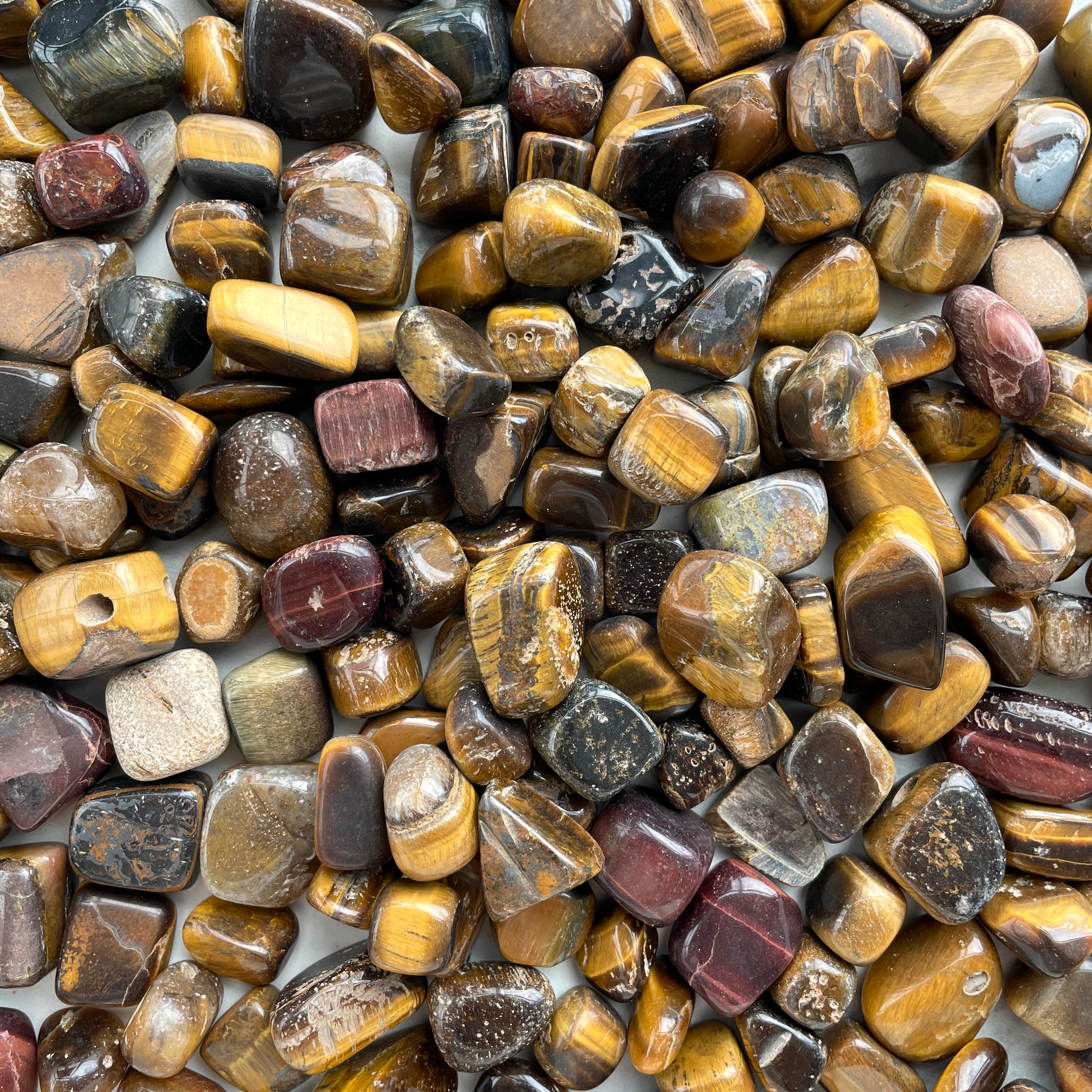 Tigers Eye Tumbled 1KG SM - 'B'