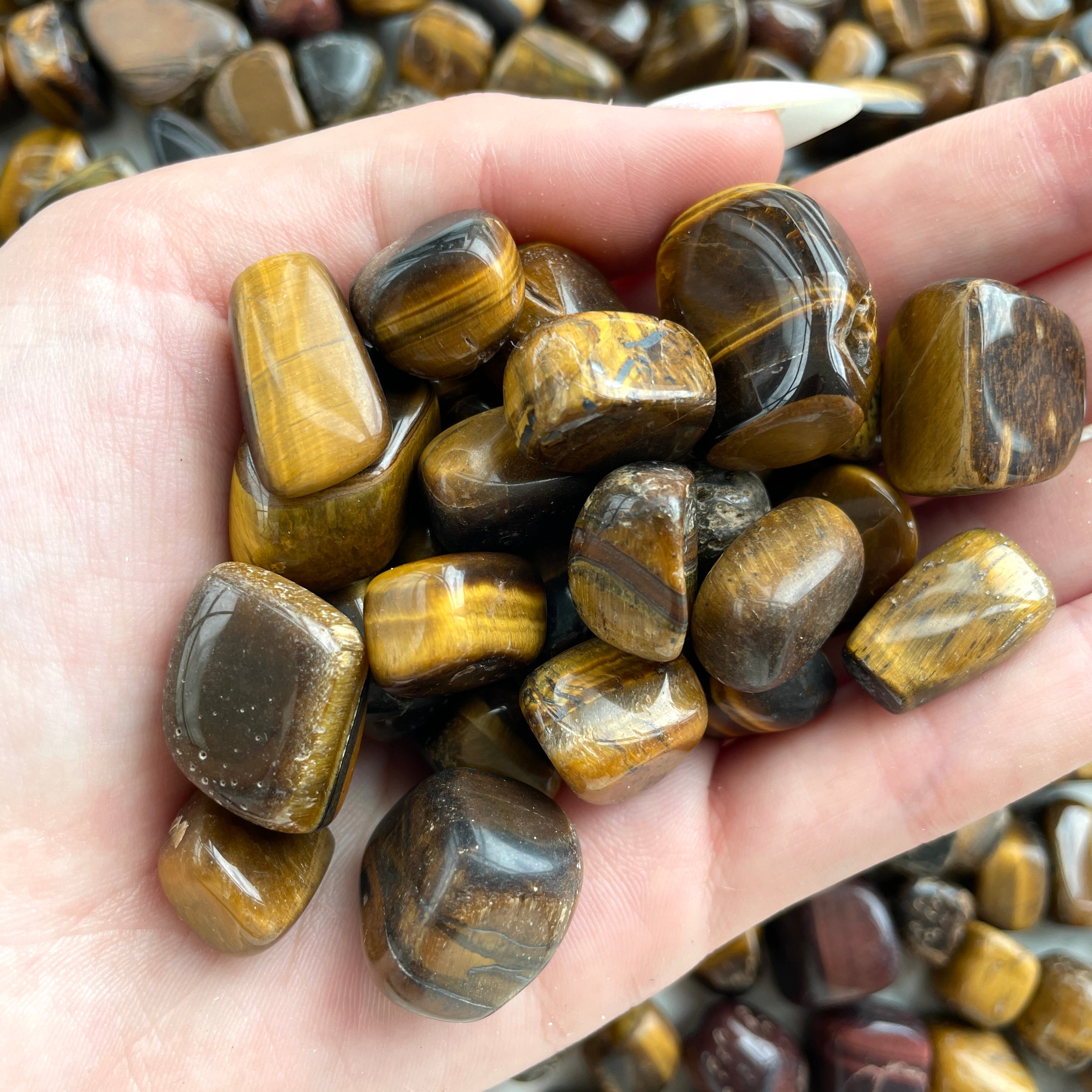 Tigers Eye Tumbled 1KG SM - 'B'