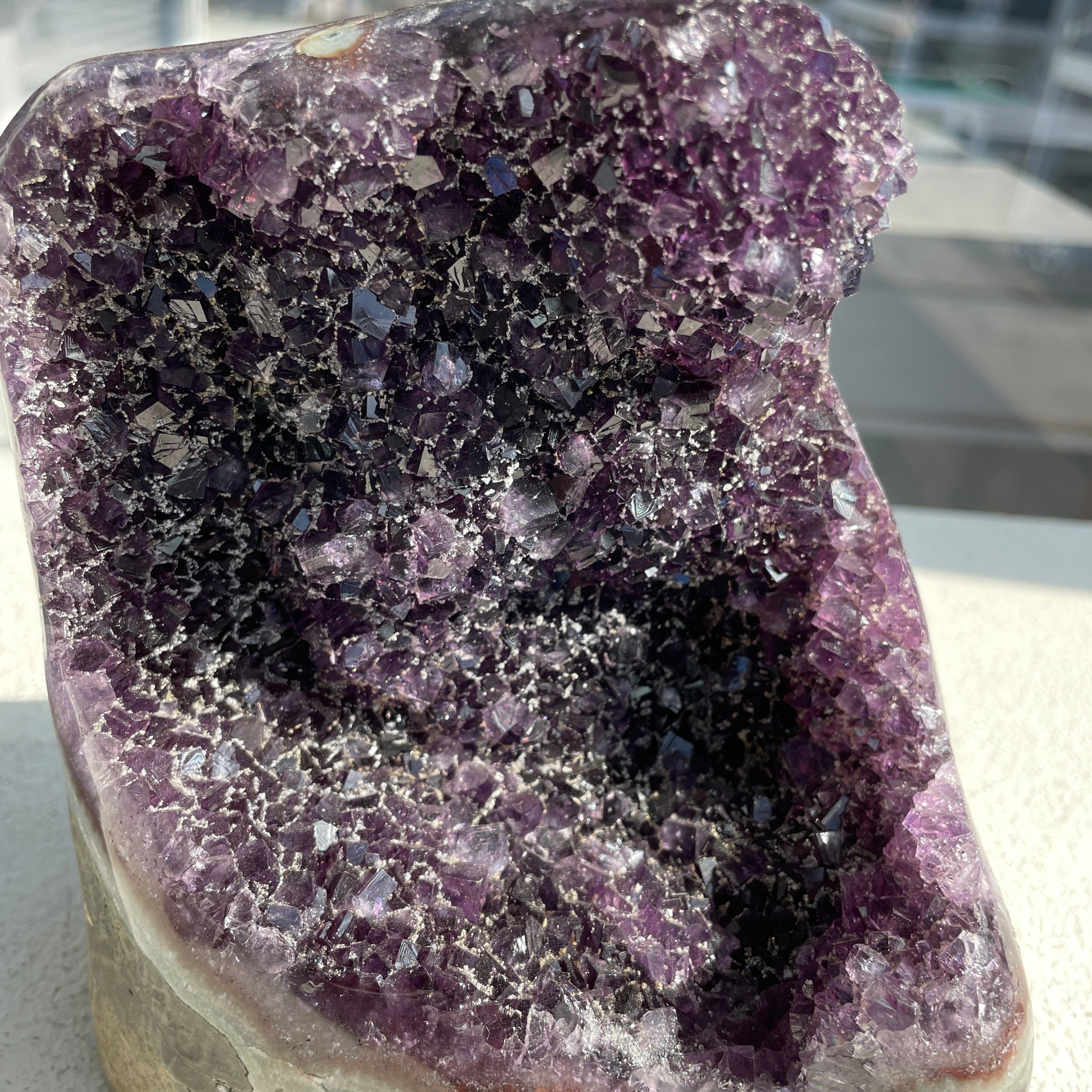 Amethyst - Cut Base Cluster - 81