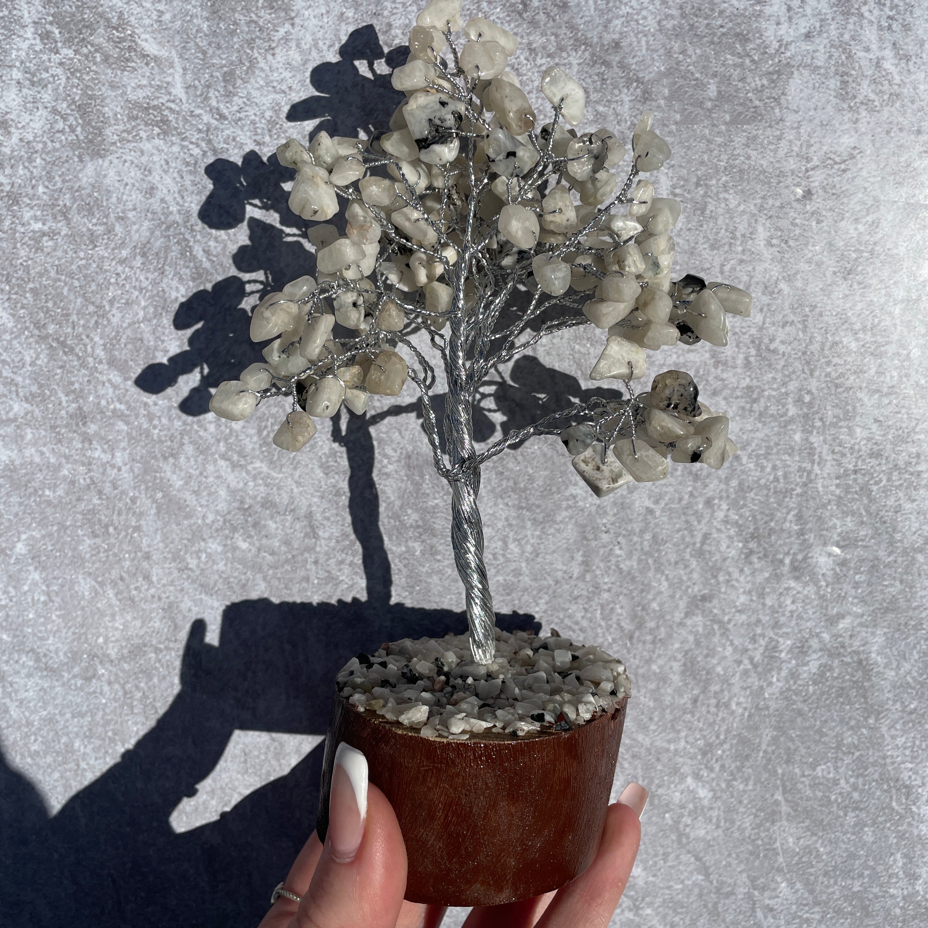 Rainbow Moonstone Tree - Medium 012