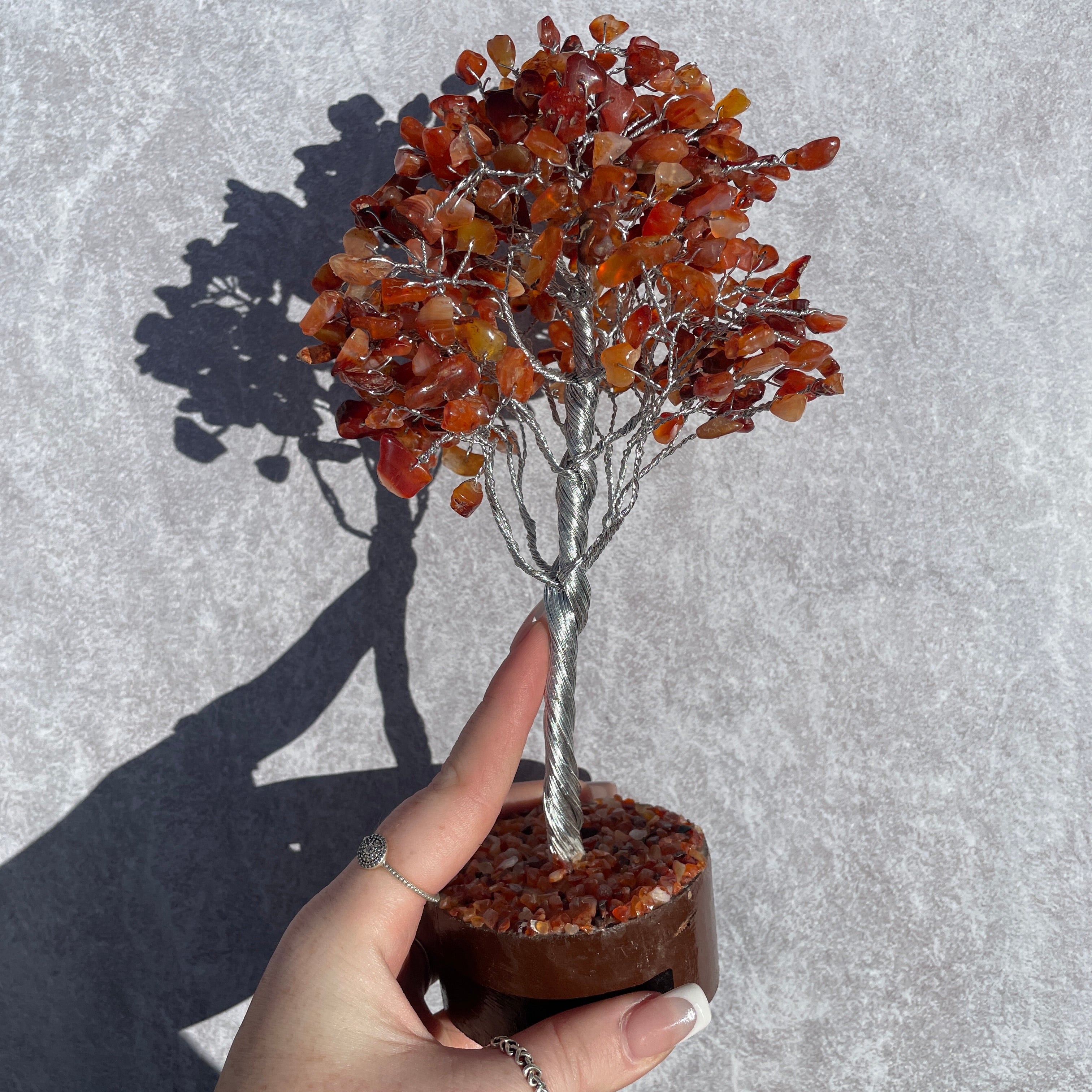 Carnelian Tree - Medium 016