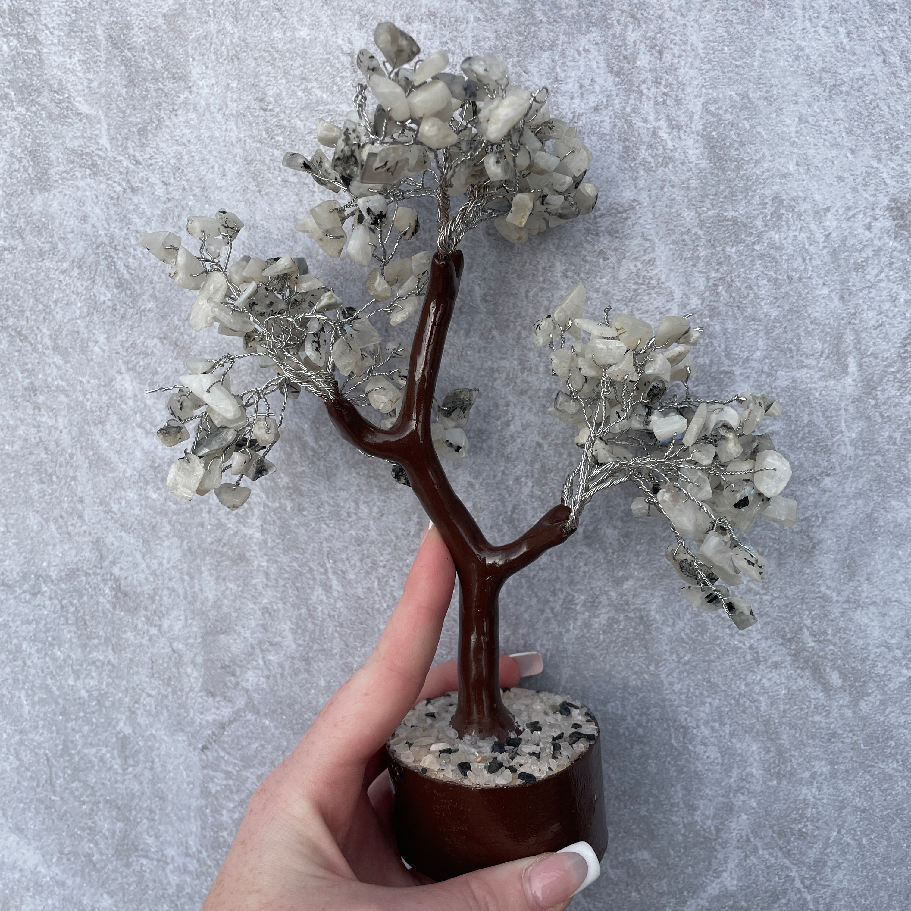 Rainbow Moonstone Tree - Large - 020