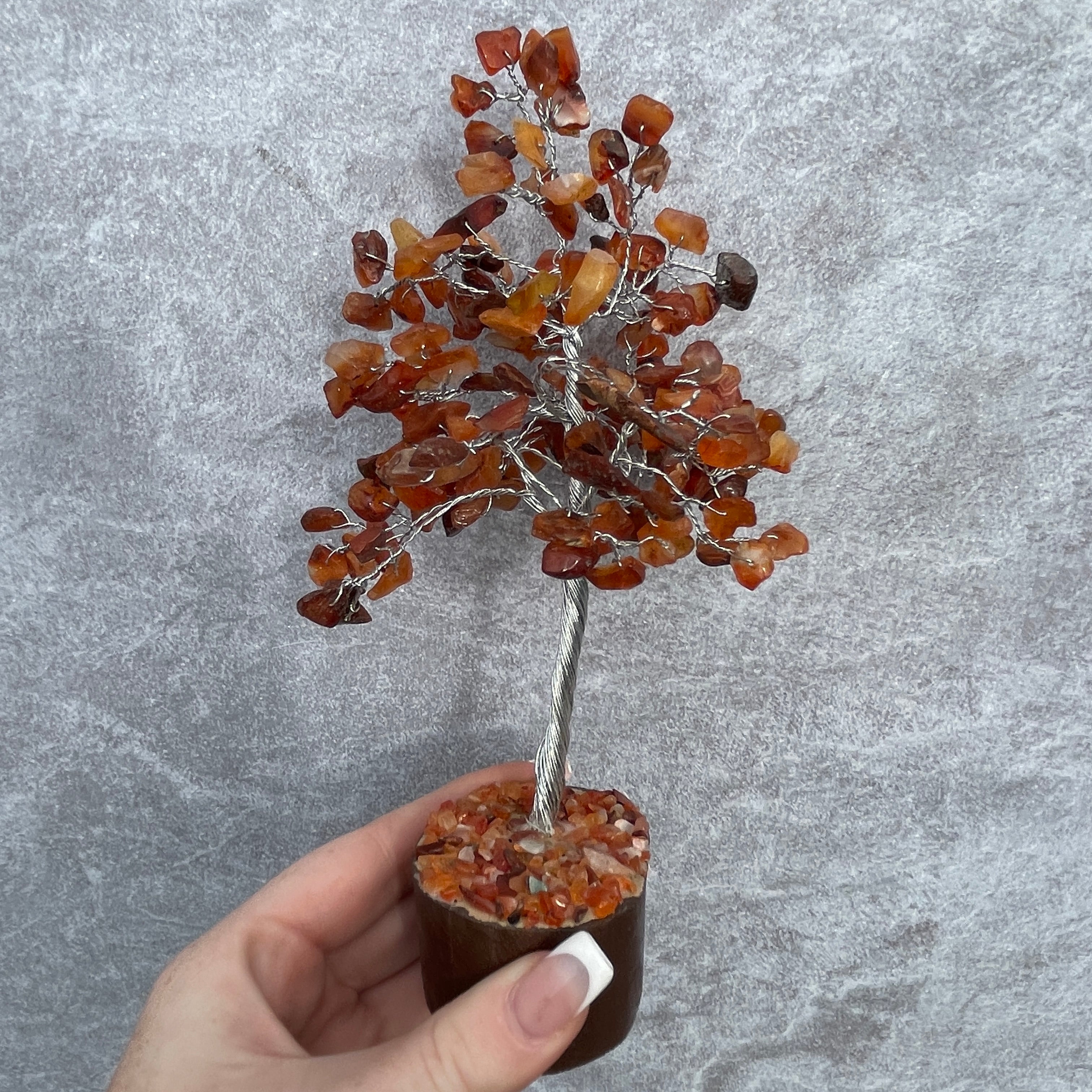 Carnelian Tree - Medium 012
