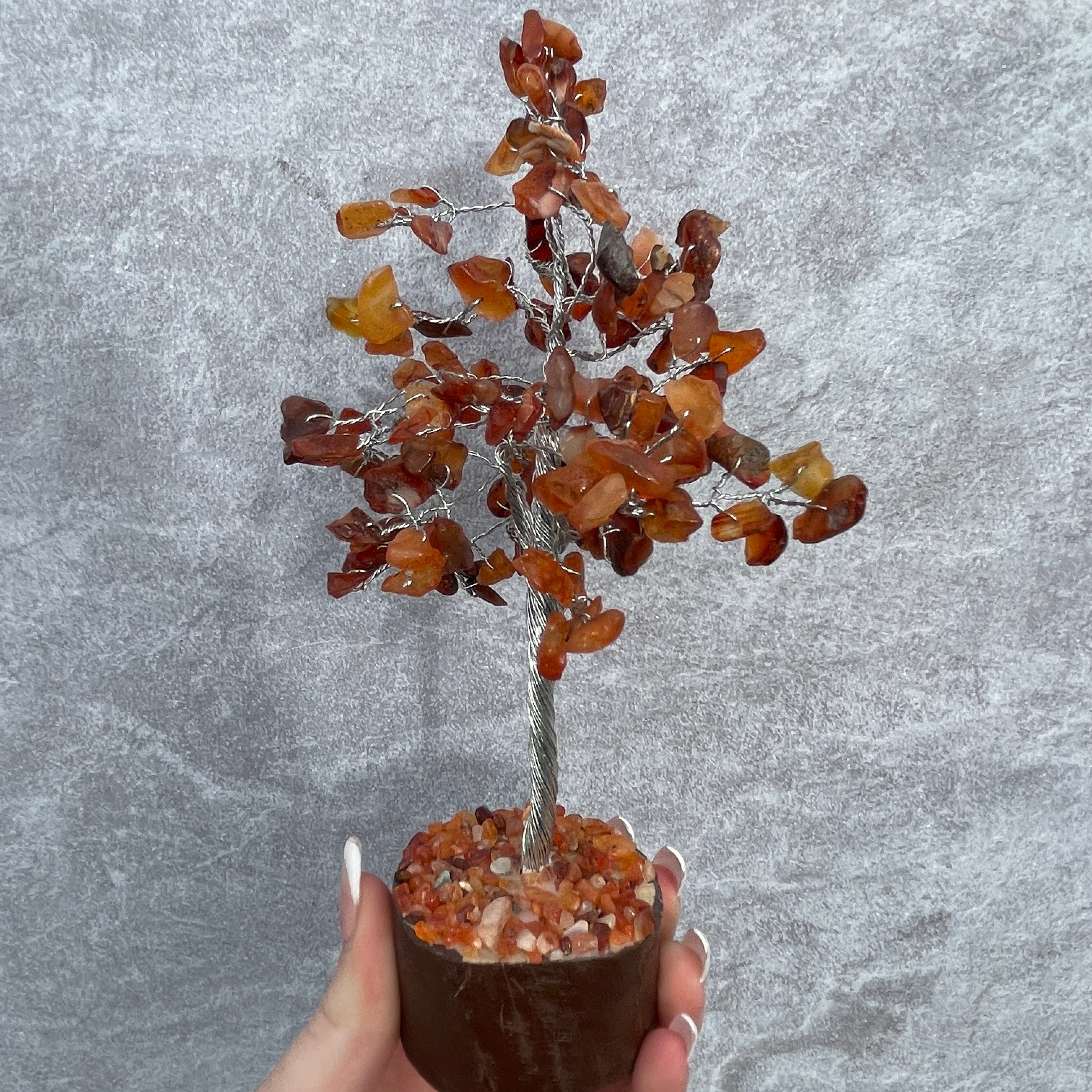 Carnelian Tree - Medium 012