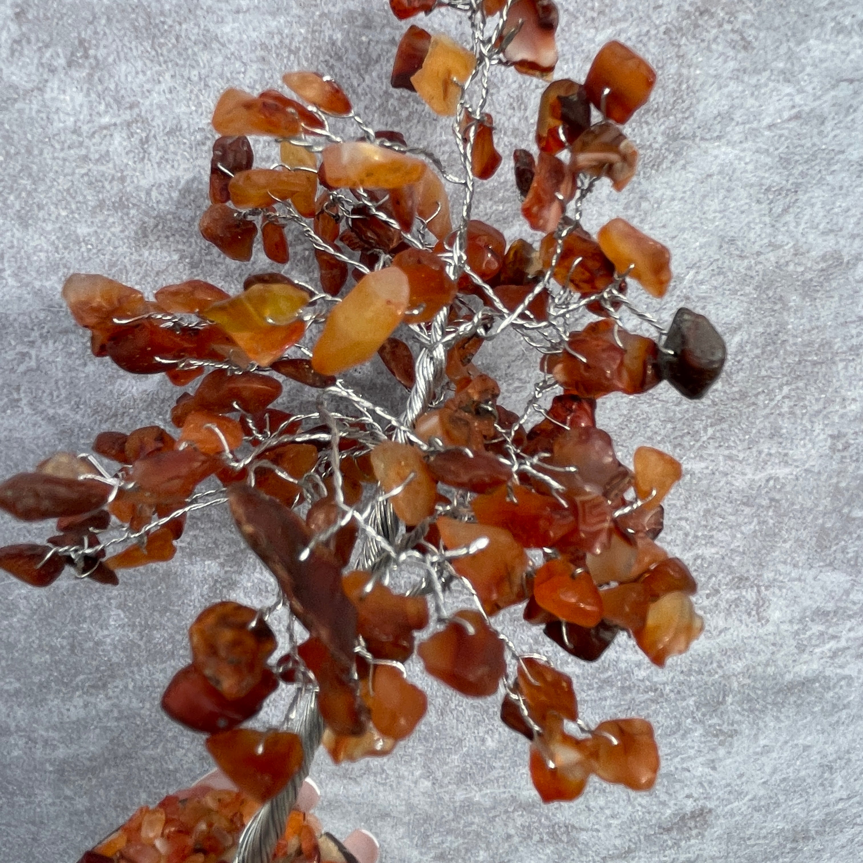 Carnelian Tree - Medium 012