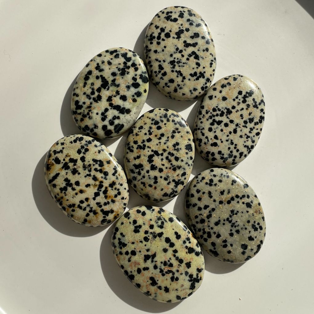 Dalmatian Jasper - Small Palm Stone (IN)