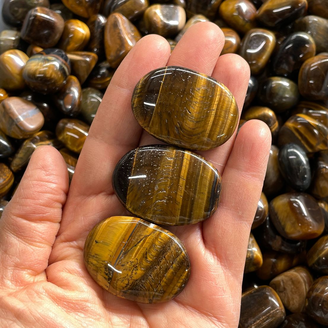 Tigers Eye - Small Palm Stone (IN)