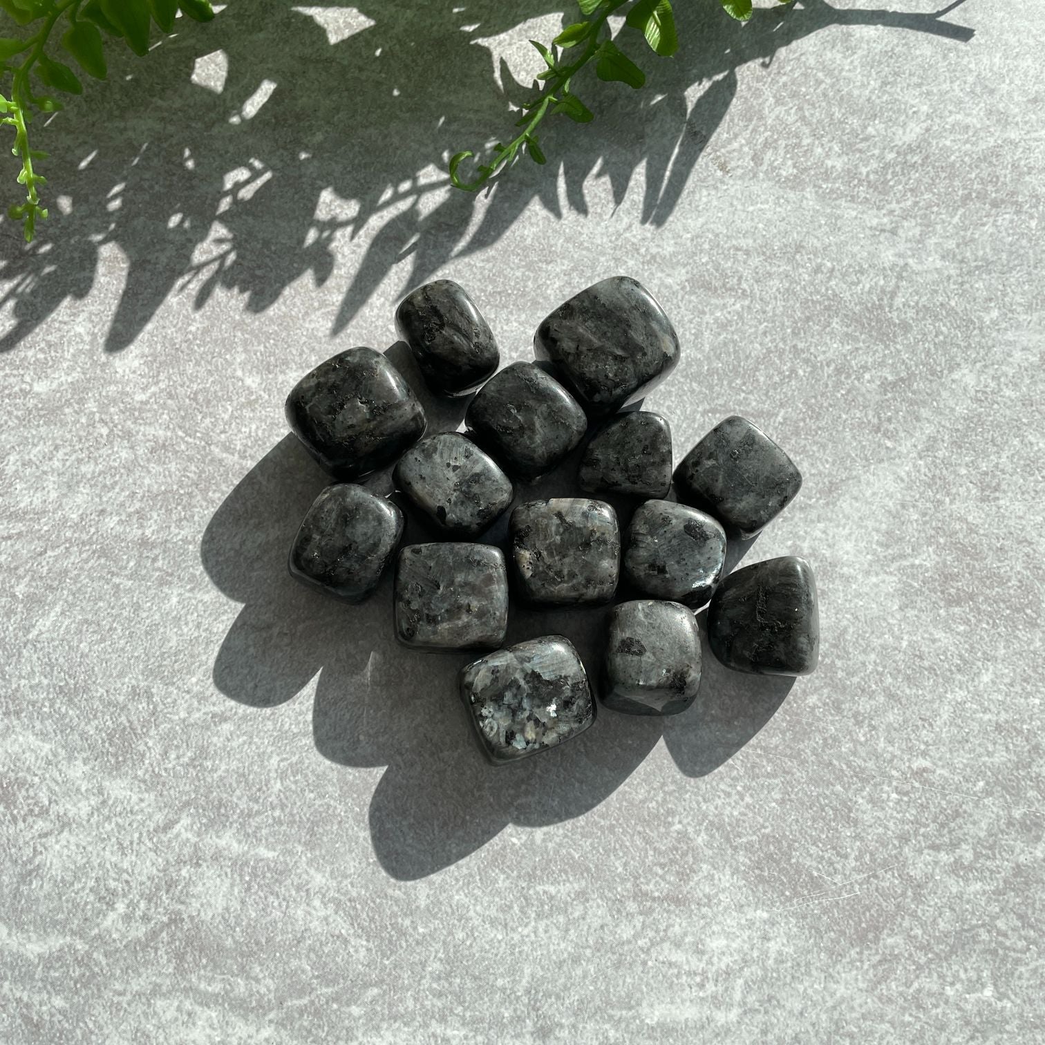 Larvikite Tumbled (IN) - 250g