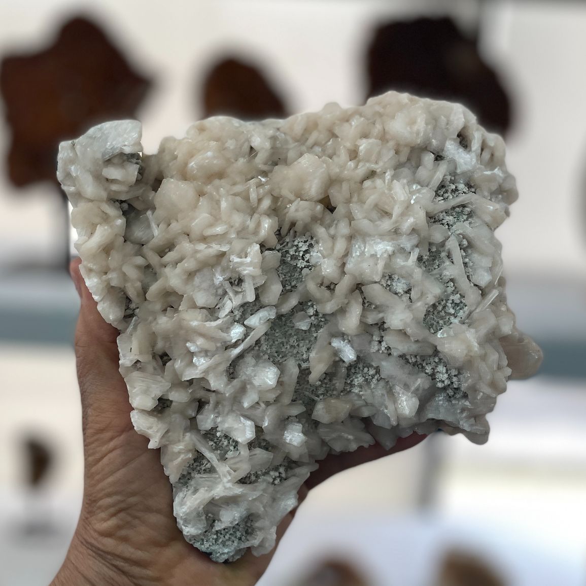 Apophyllite Cluster - 08