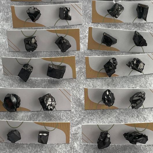 Shungite Elite Rough Stud Earrings