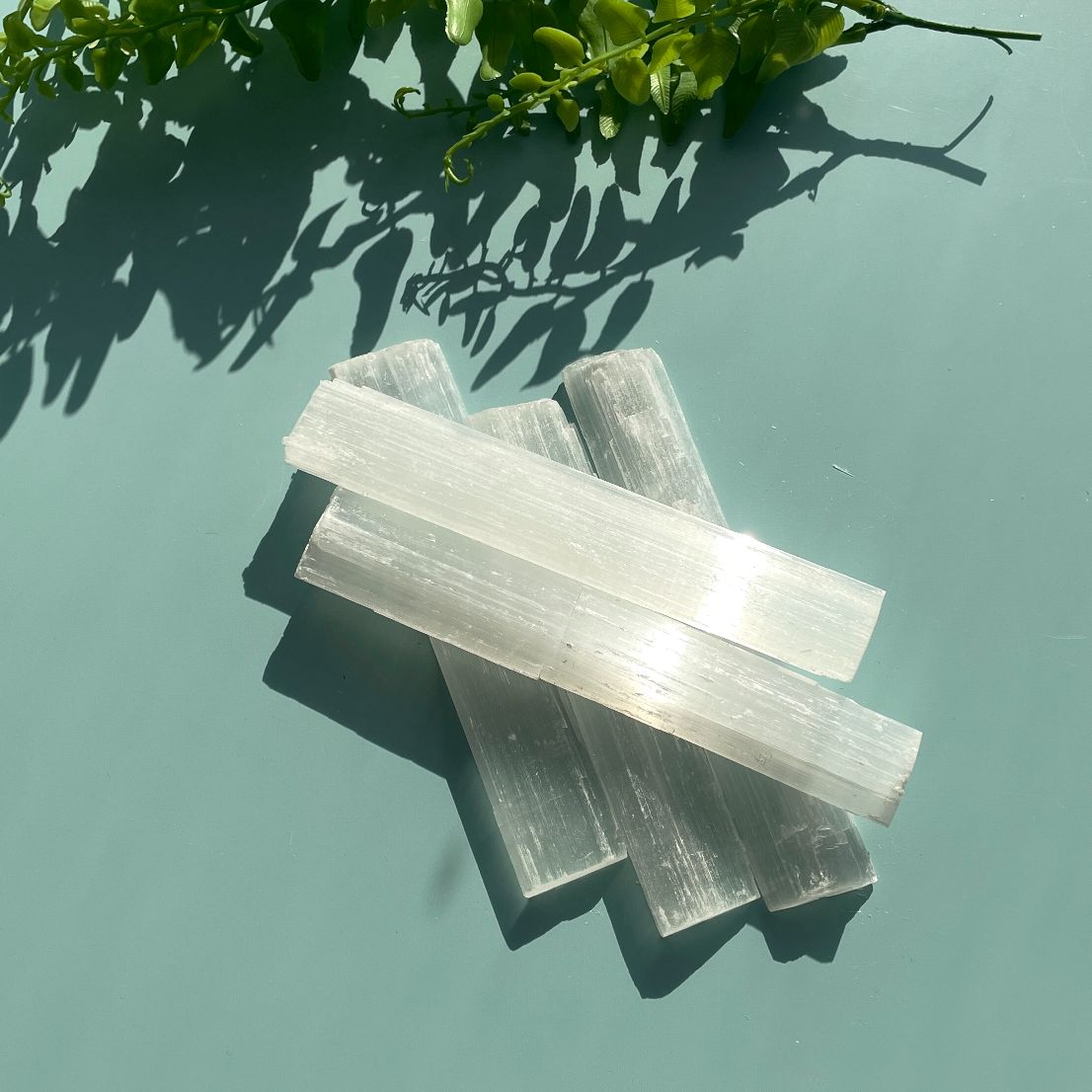 Selenite Rough 5pc - 13cm-16cm