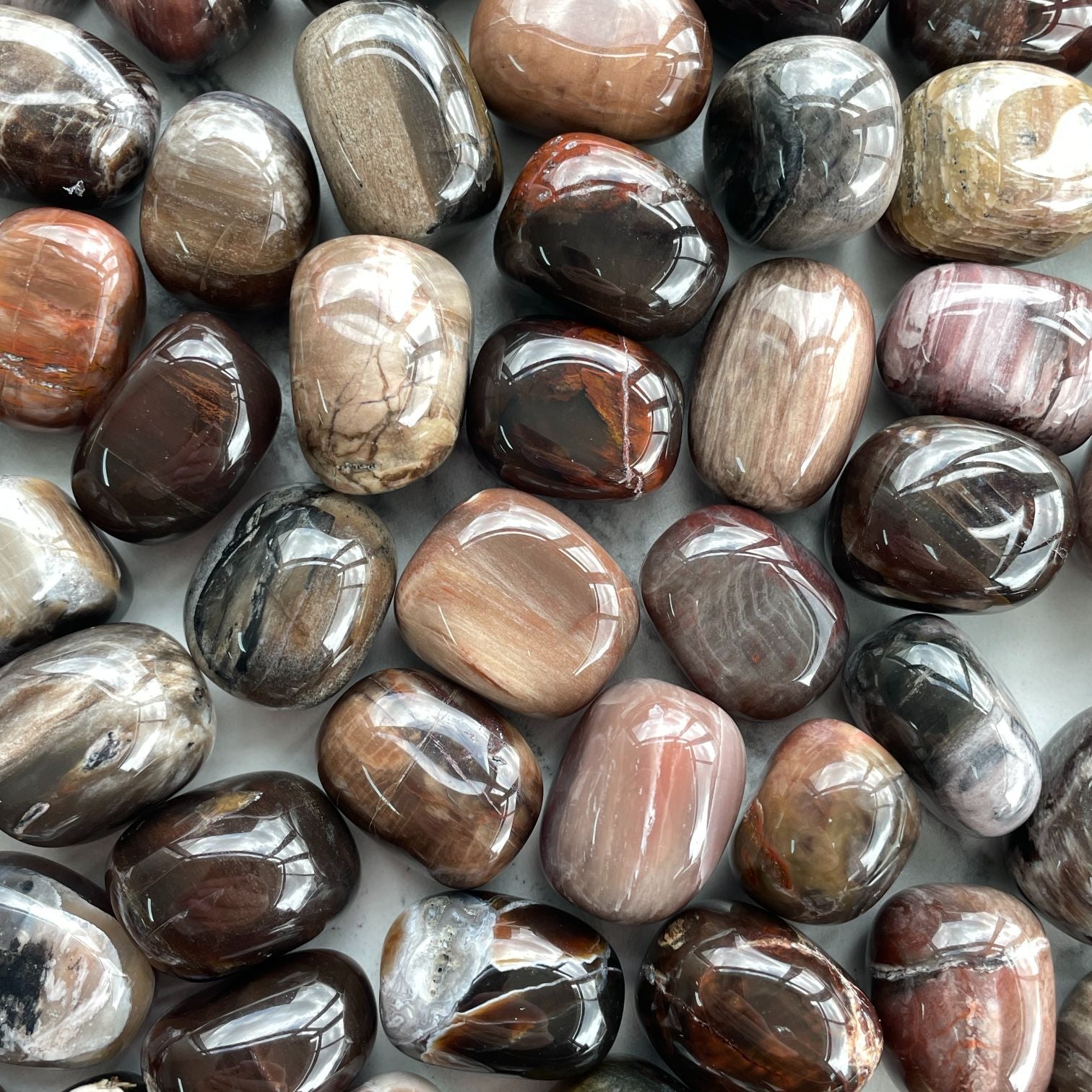 Firewood Agate Tumbled 1KG